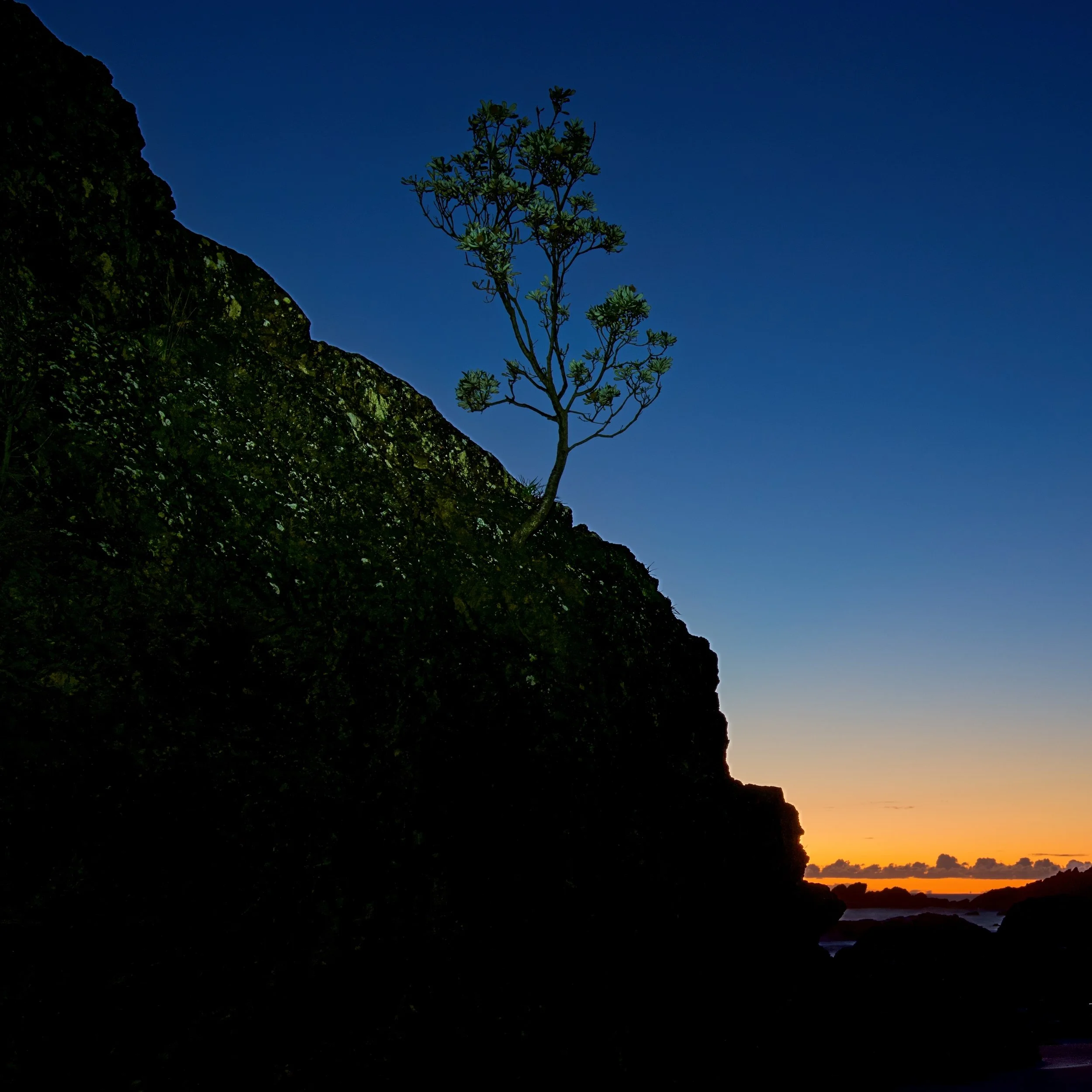 Nobby's Beach Port Macquarie