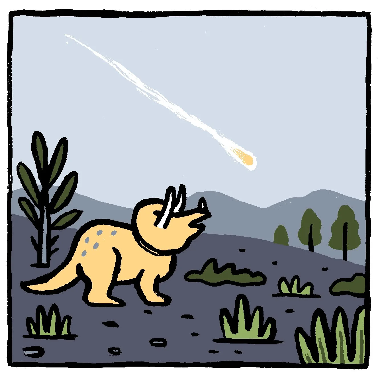 Fossil Record Biases