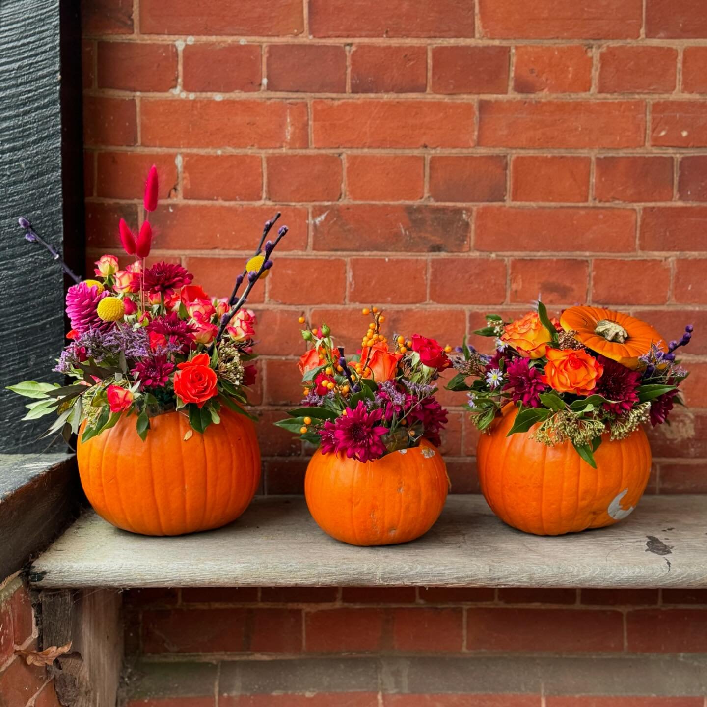 Over and pumpkin out. 

Last delivery made yesterday evening. I think I must have carved 30+ pumpkins this week. 

Next year I want a pumpkin patch and grow my own , I was reading yesterday that there a pumpkin regatta in Belgium, pumpkins so big peo