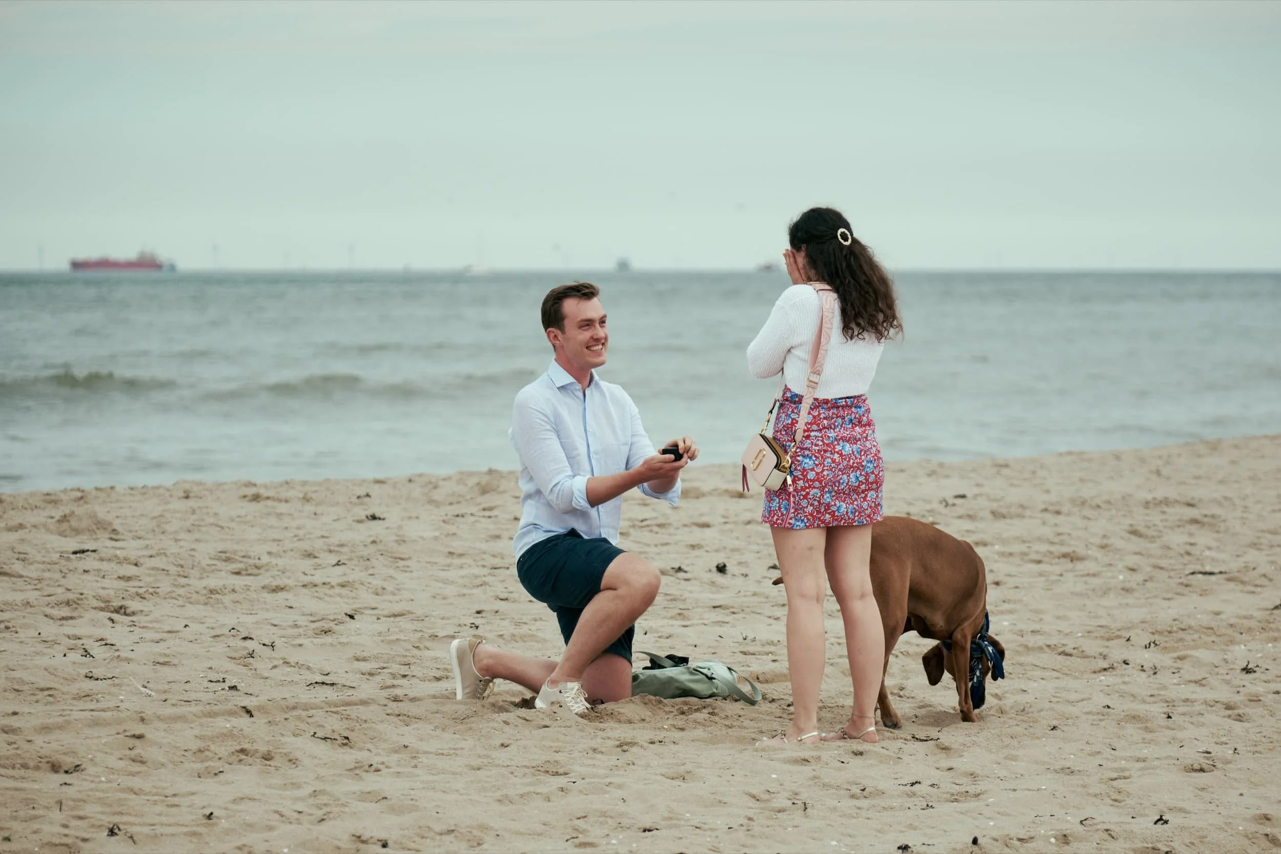 Een man doet een huwelijksaanzoek op het strand terwijl een vrouw verrast is, met een hond erbij, in de achtergrond de zee en een scheepvaart.