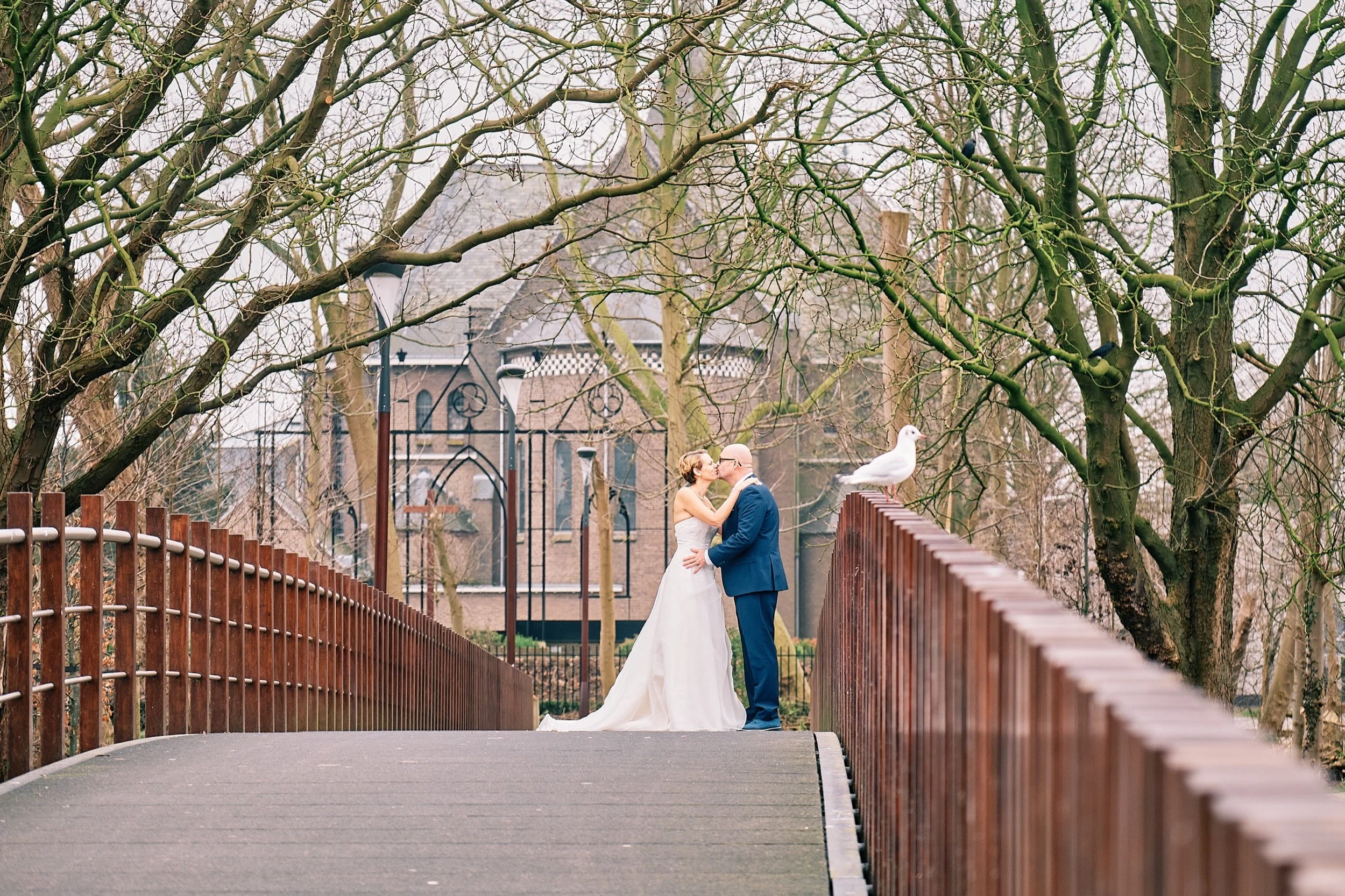 Een bruidspaar die elkaar kussen onder een blazenboom op een brug in een park, met een duif die op de reling zit, op een waarschijnlijke koude dag.