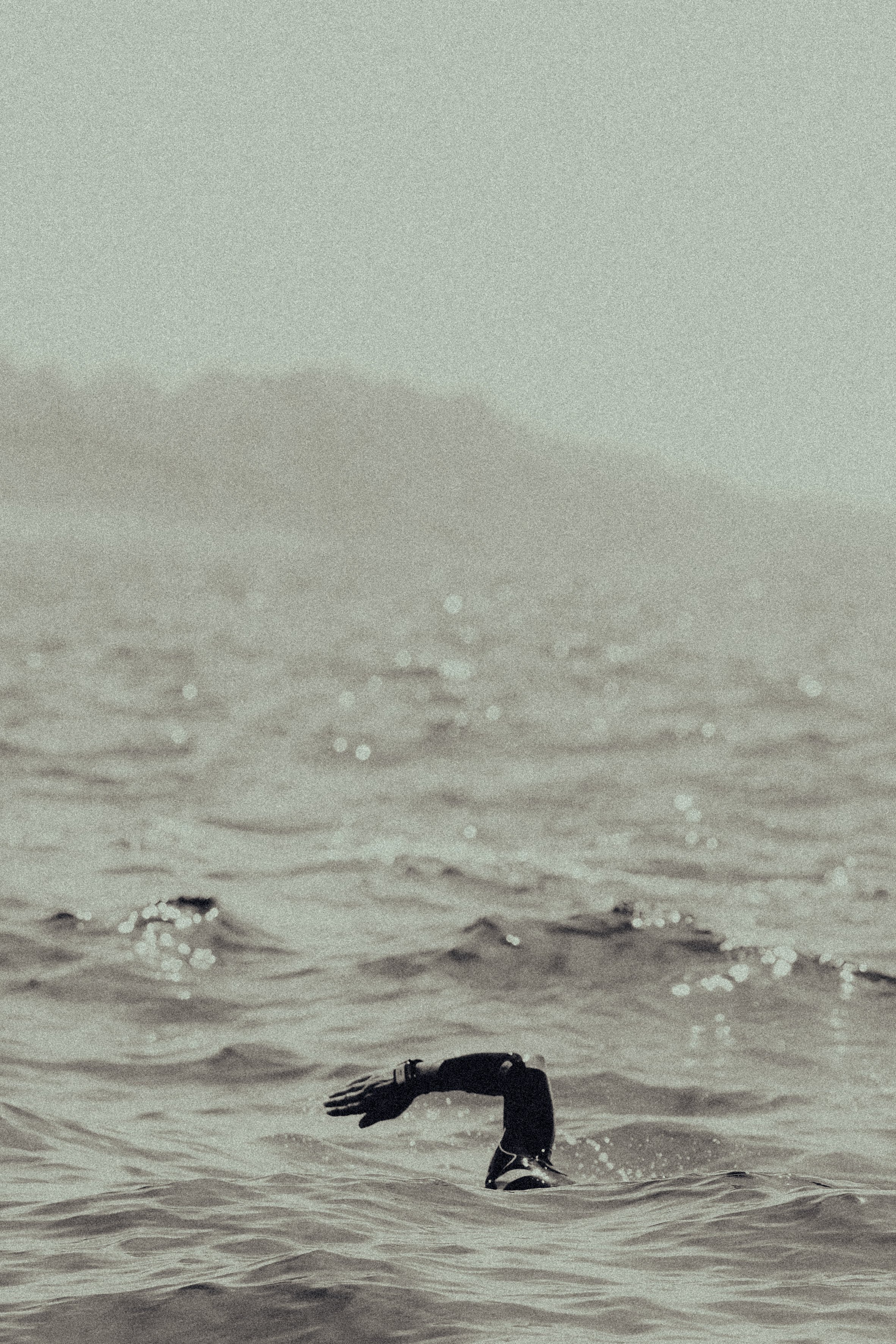 DSCF2851.jpg