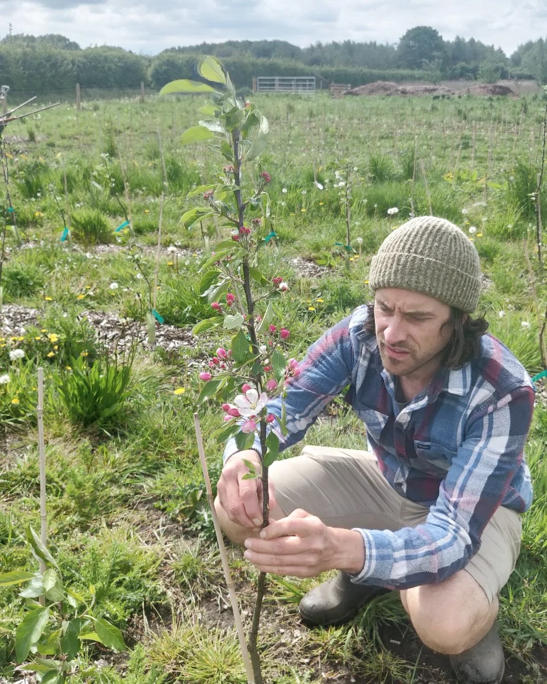 Manchester Fruit Tree Cooperative