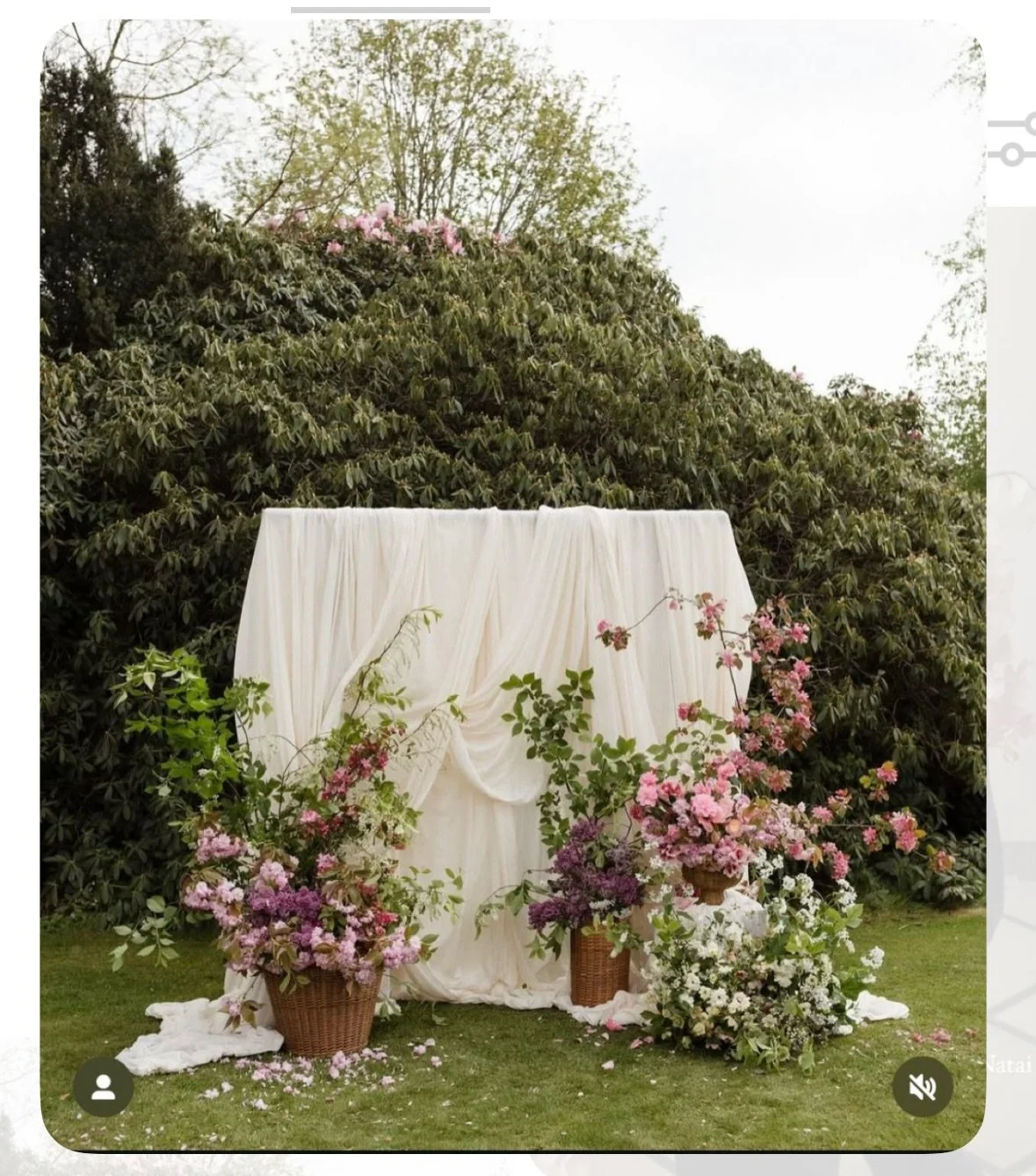 *these are not my photos!* Here are some flowery bits I&rsquo;ve been saving on Pinterest recently - clearly I love a wild and whimsical vibe 🌸 if anyone wants me to make things like this for ya plz I would love to xoxo