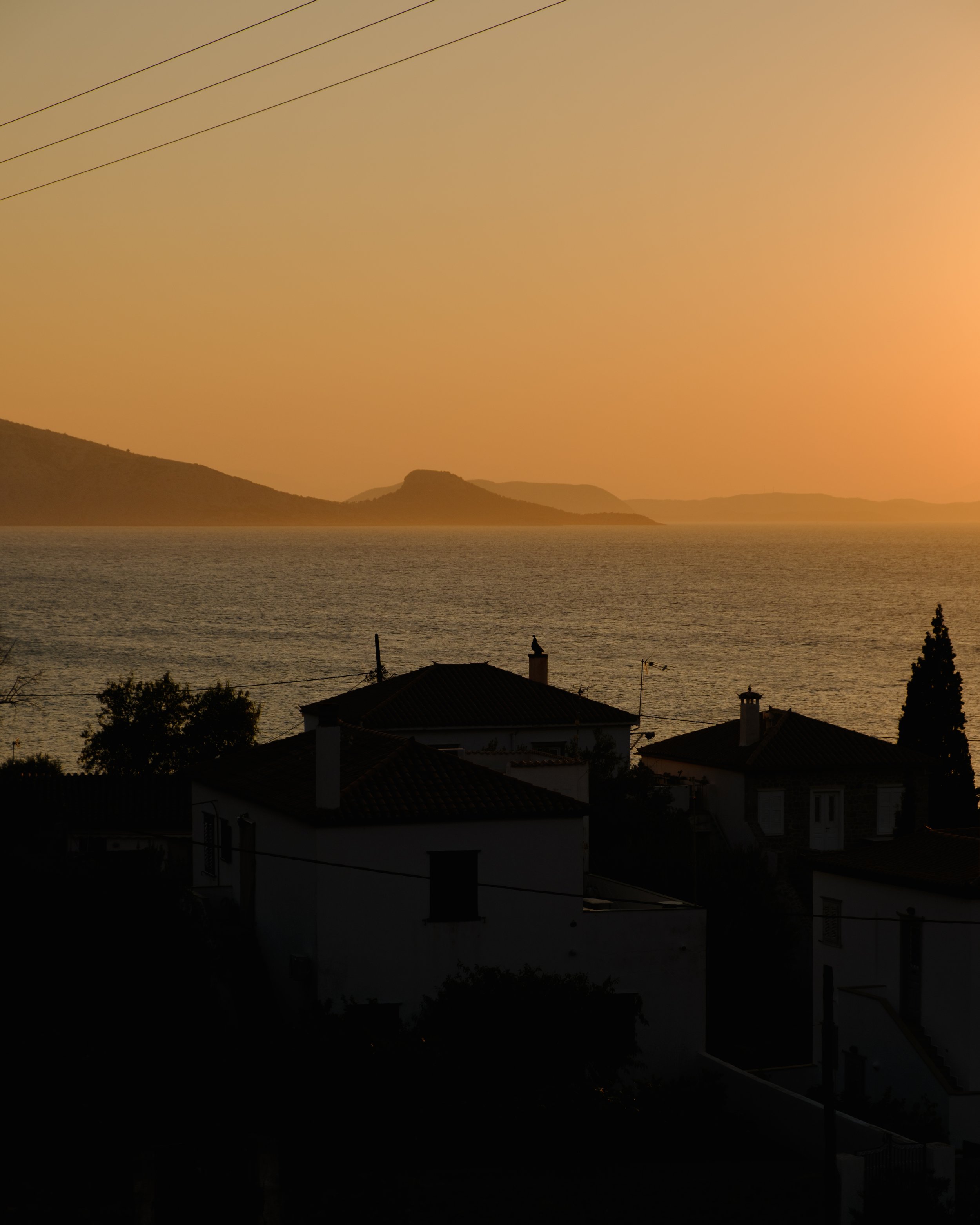 DSCF3338.jpg