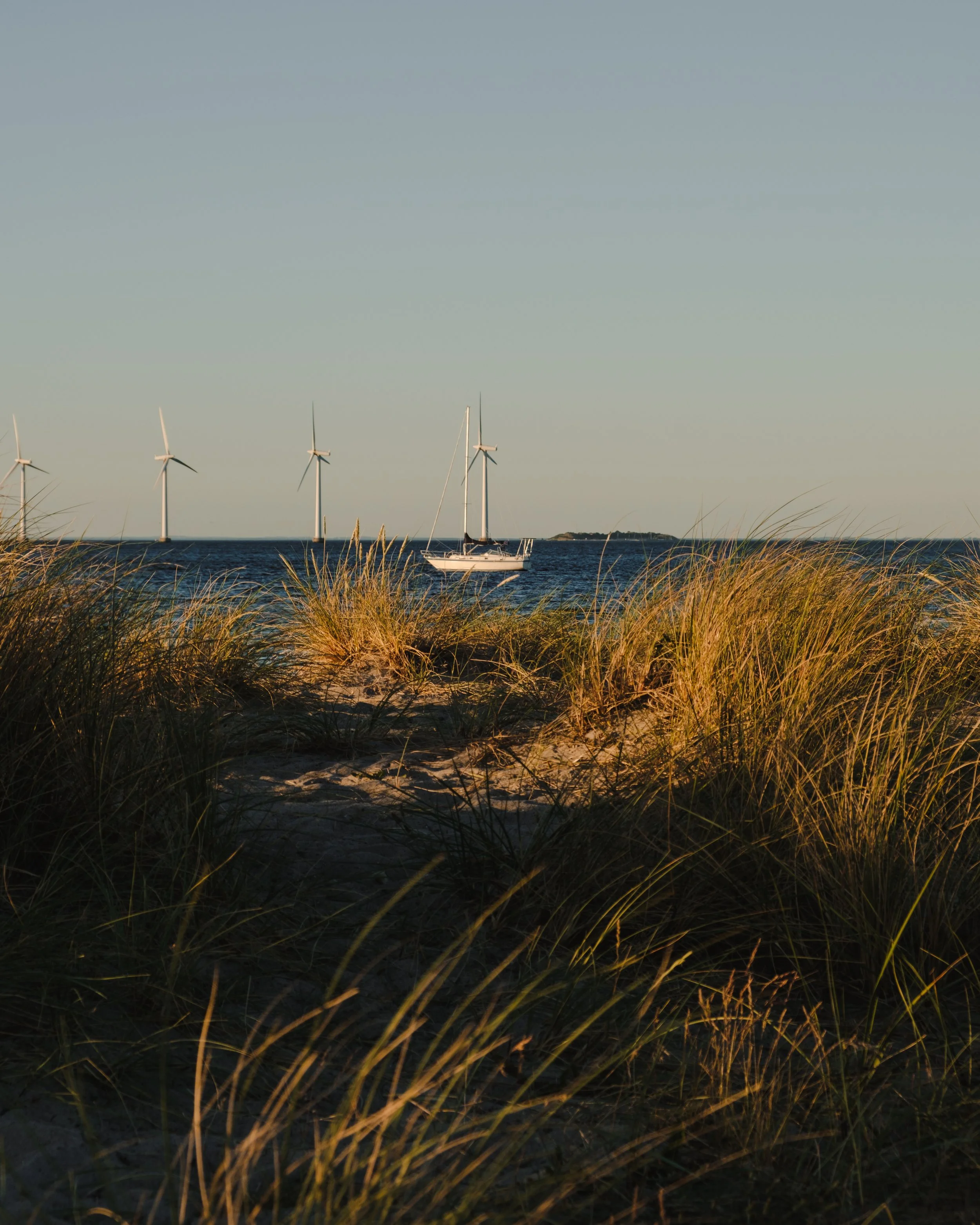 DSCF2089.jpg