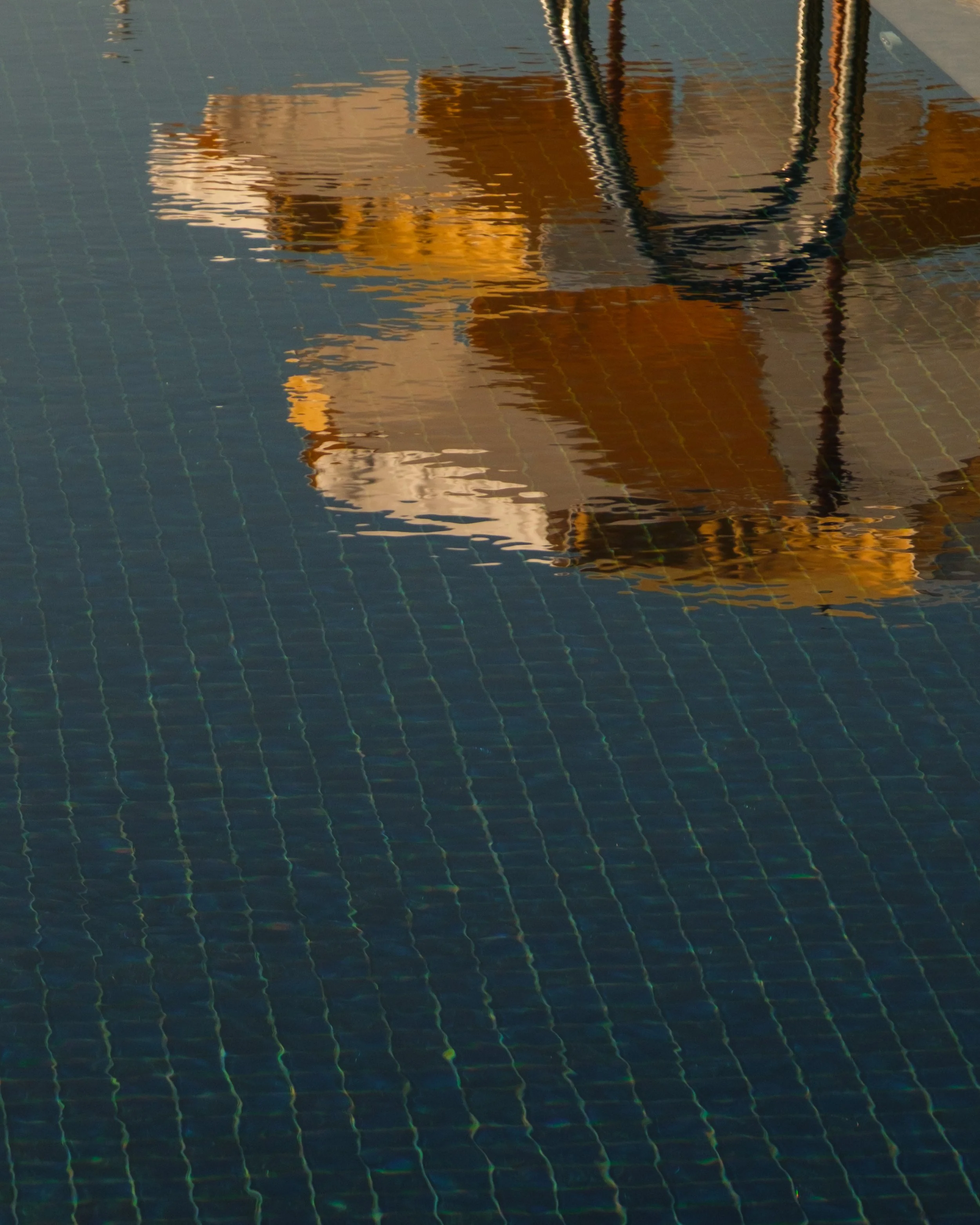 DSCF1037-2.jpg