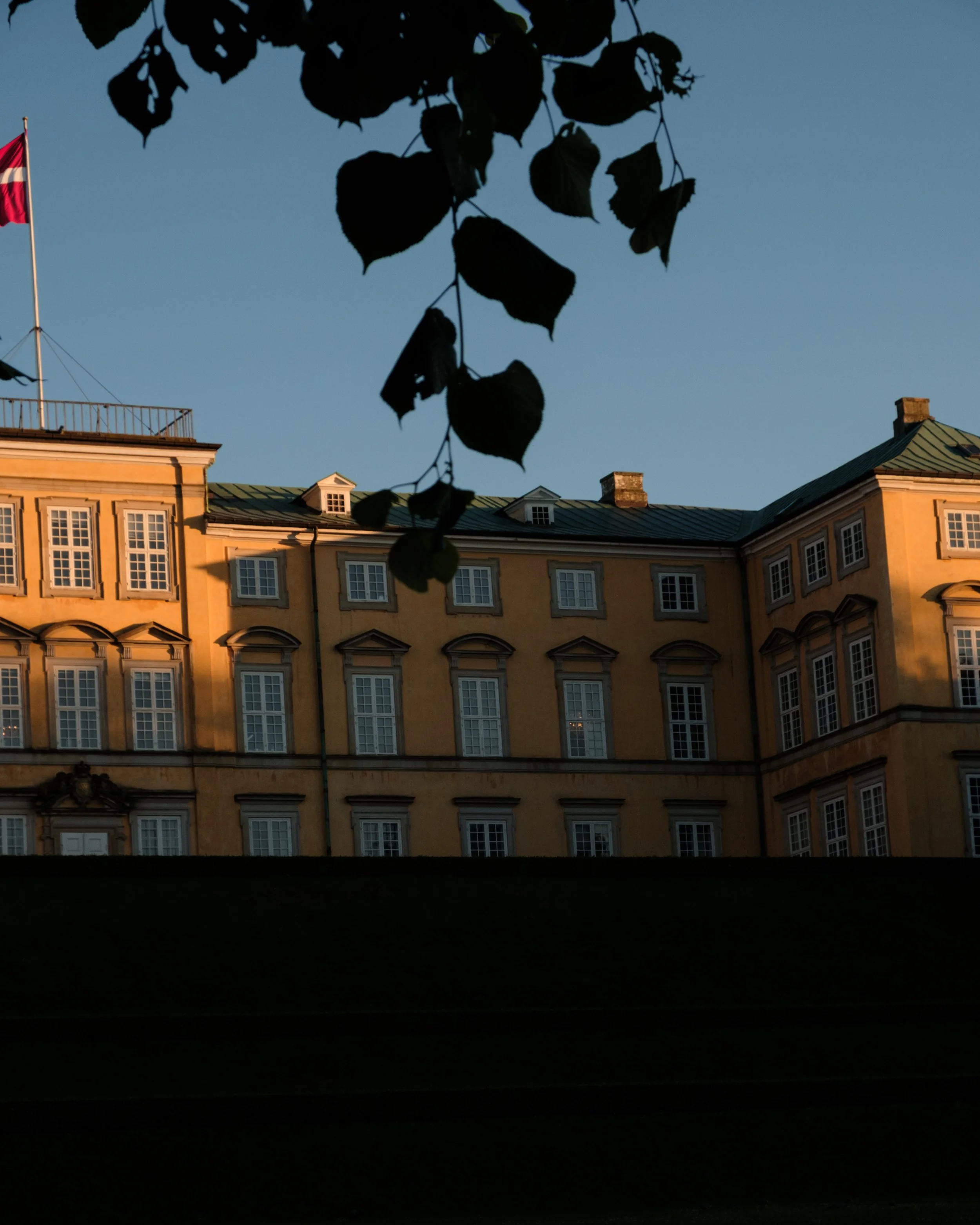DSCF1637.jpg