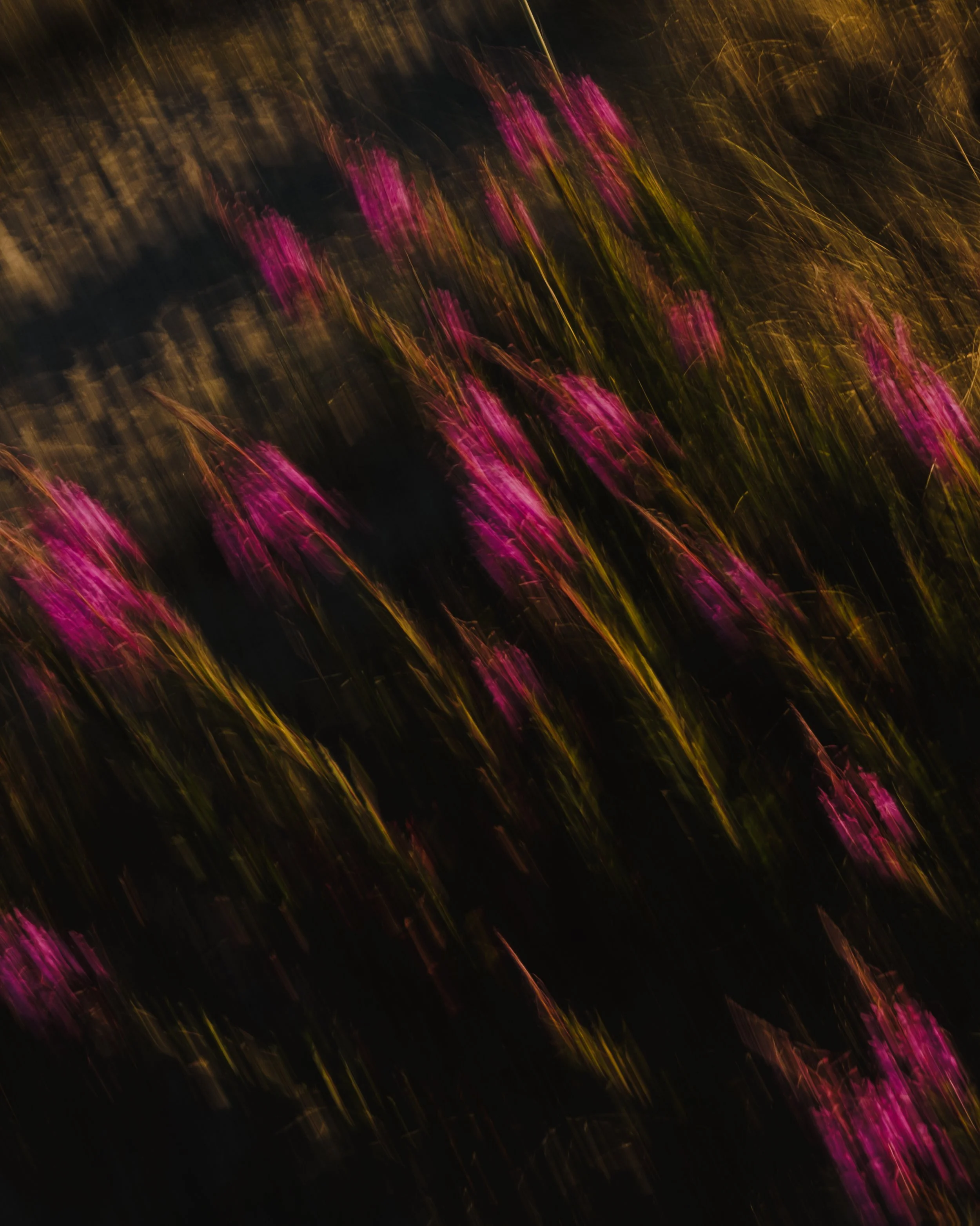 DSCF2065.jpg