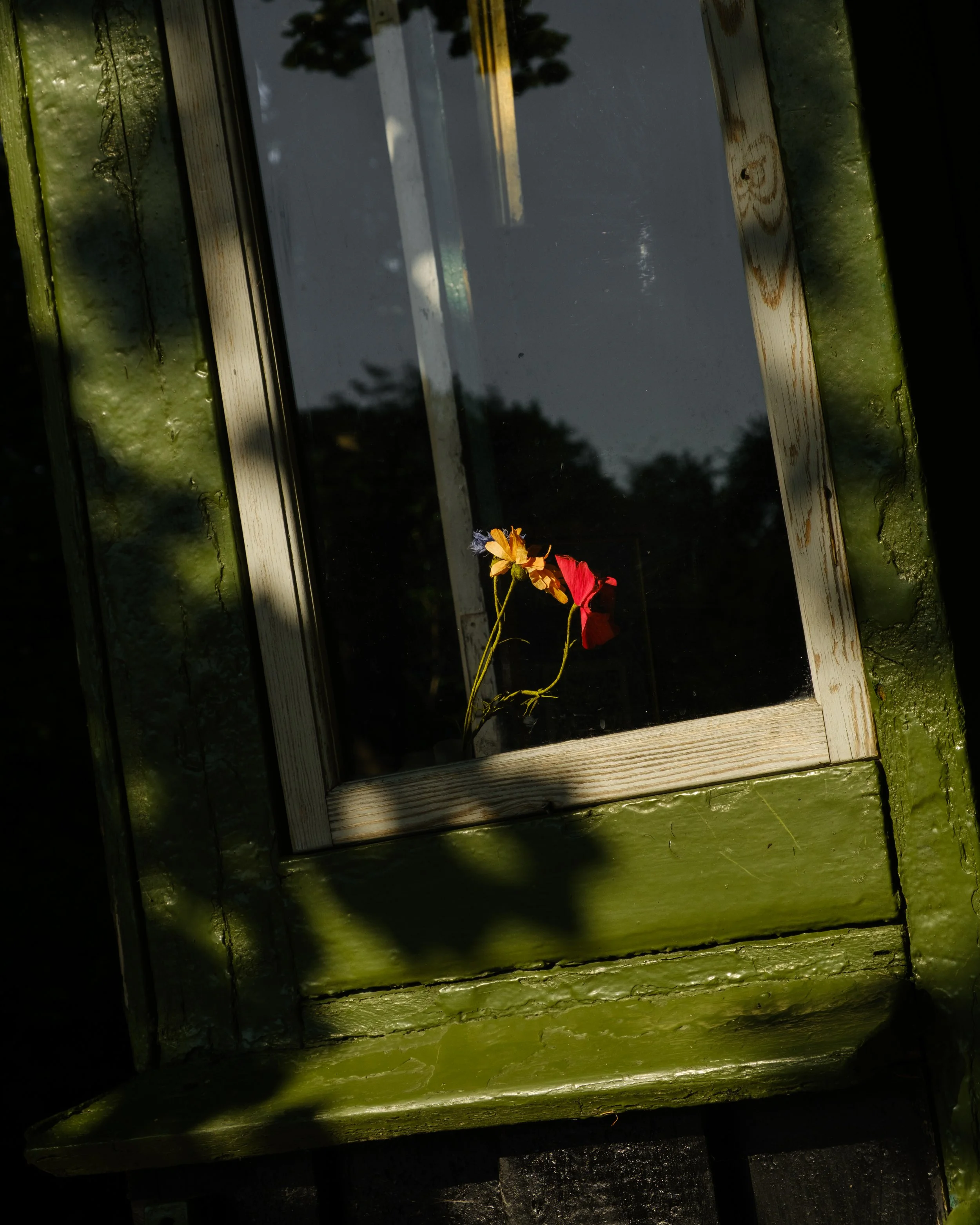 DSCF1986.jpg