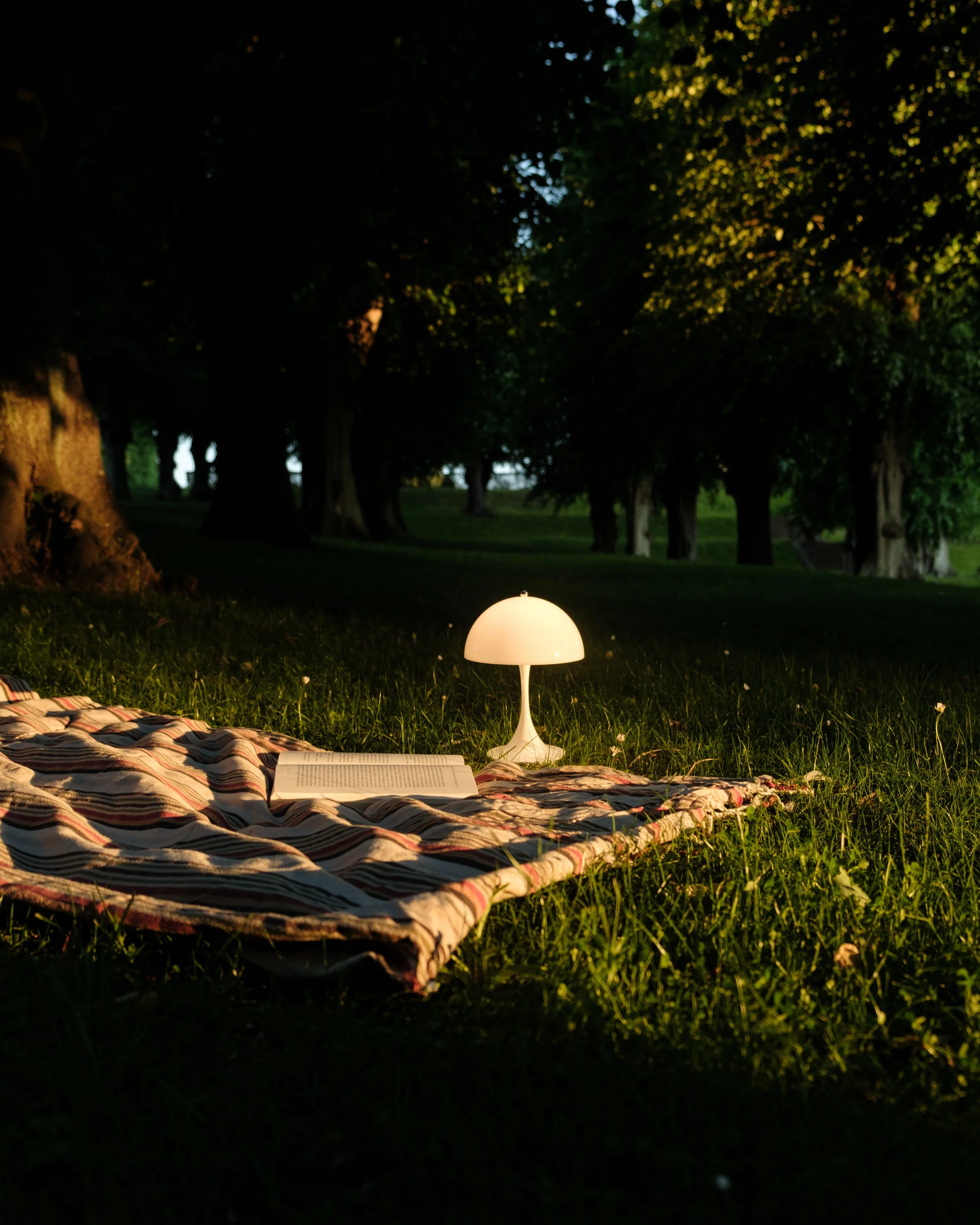 DSCF1650.jpg