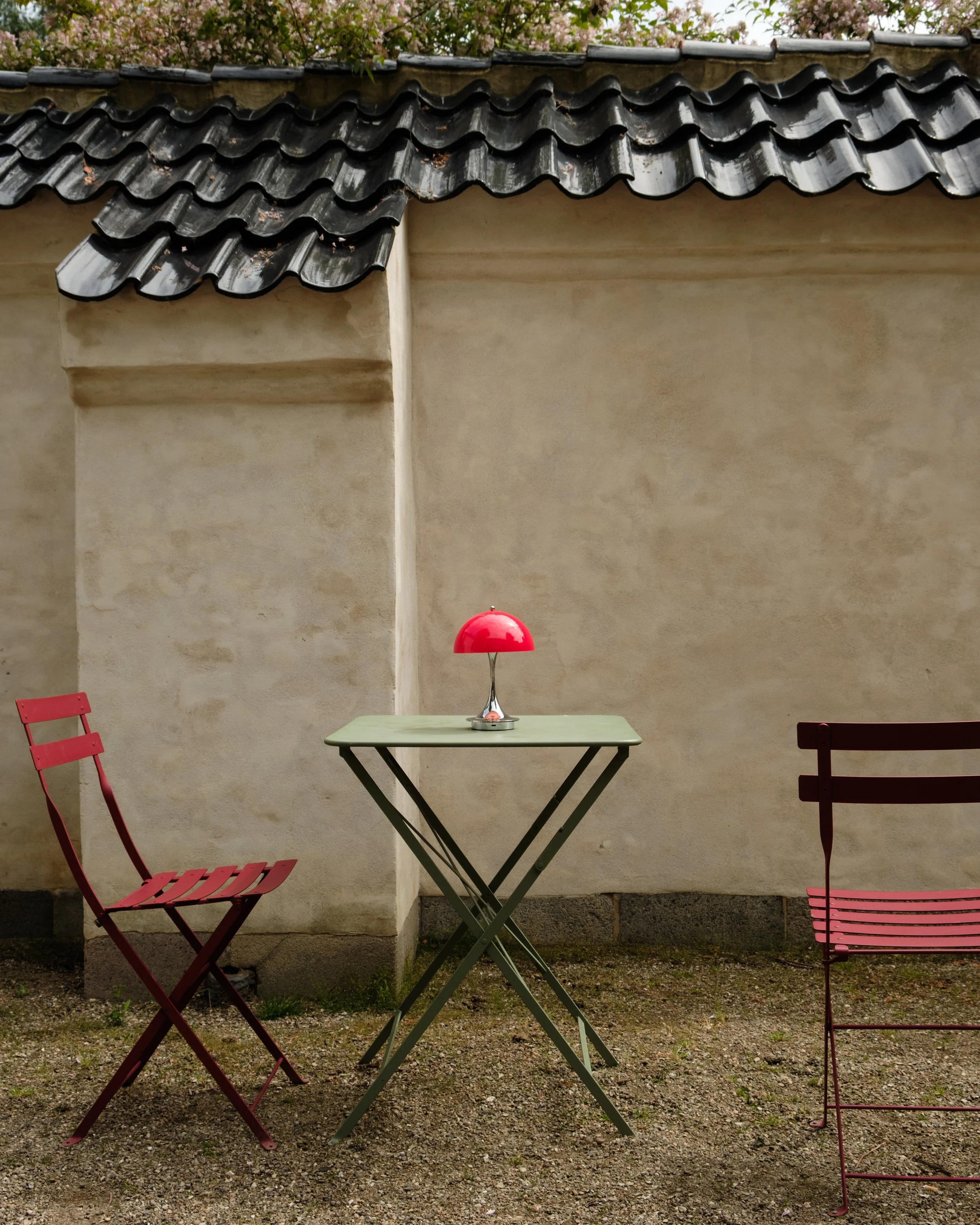 DSCF1681.jpg