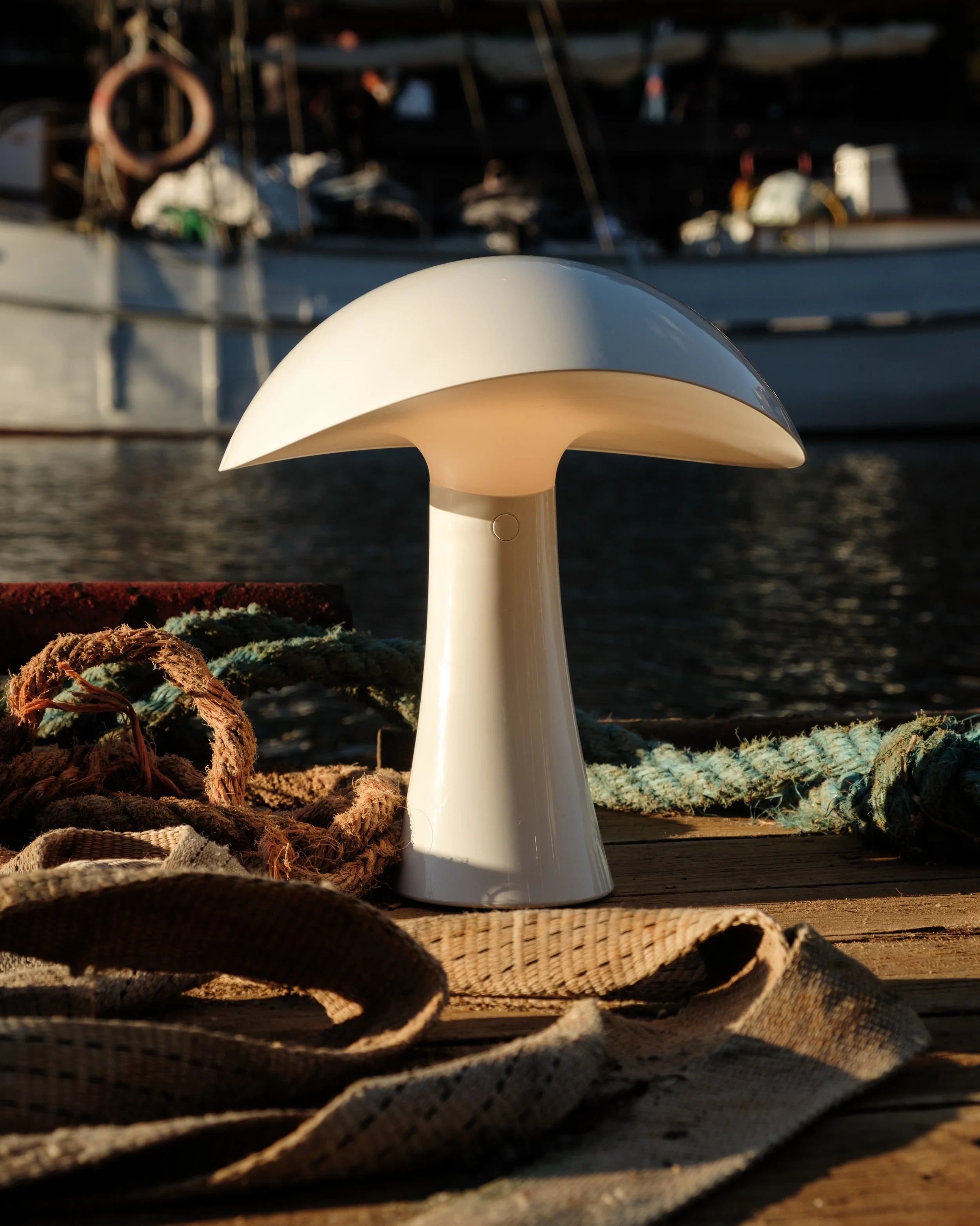DSCF1594.jpg
