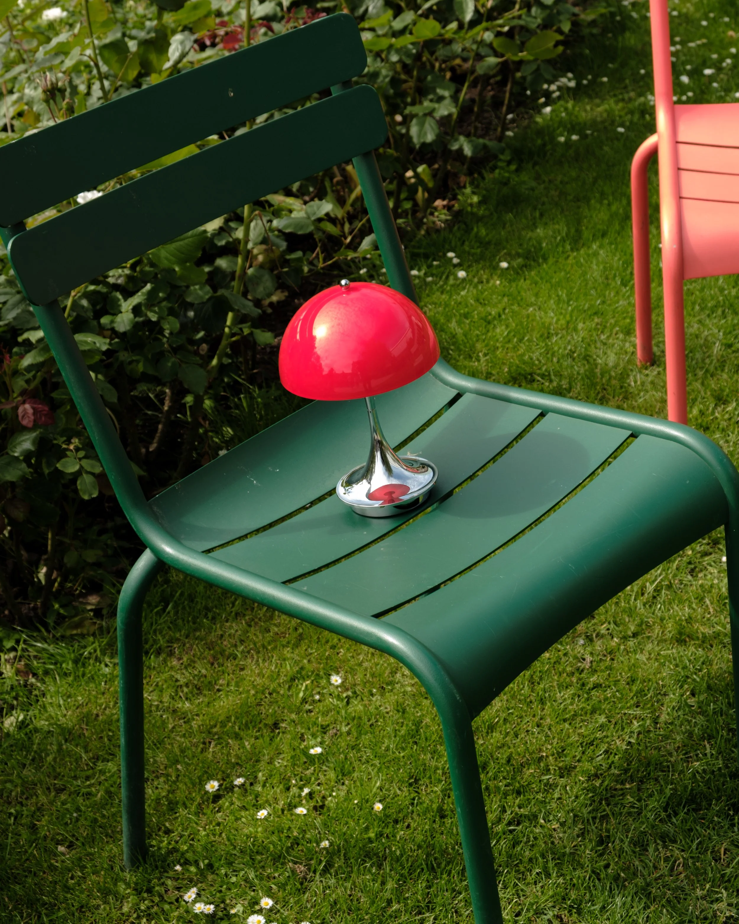 DSCF1731.jpg