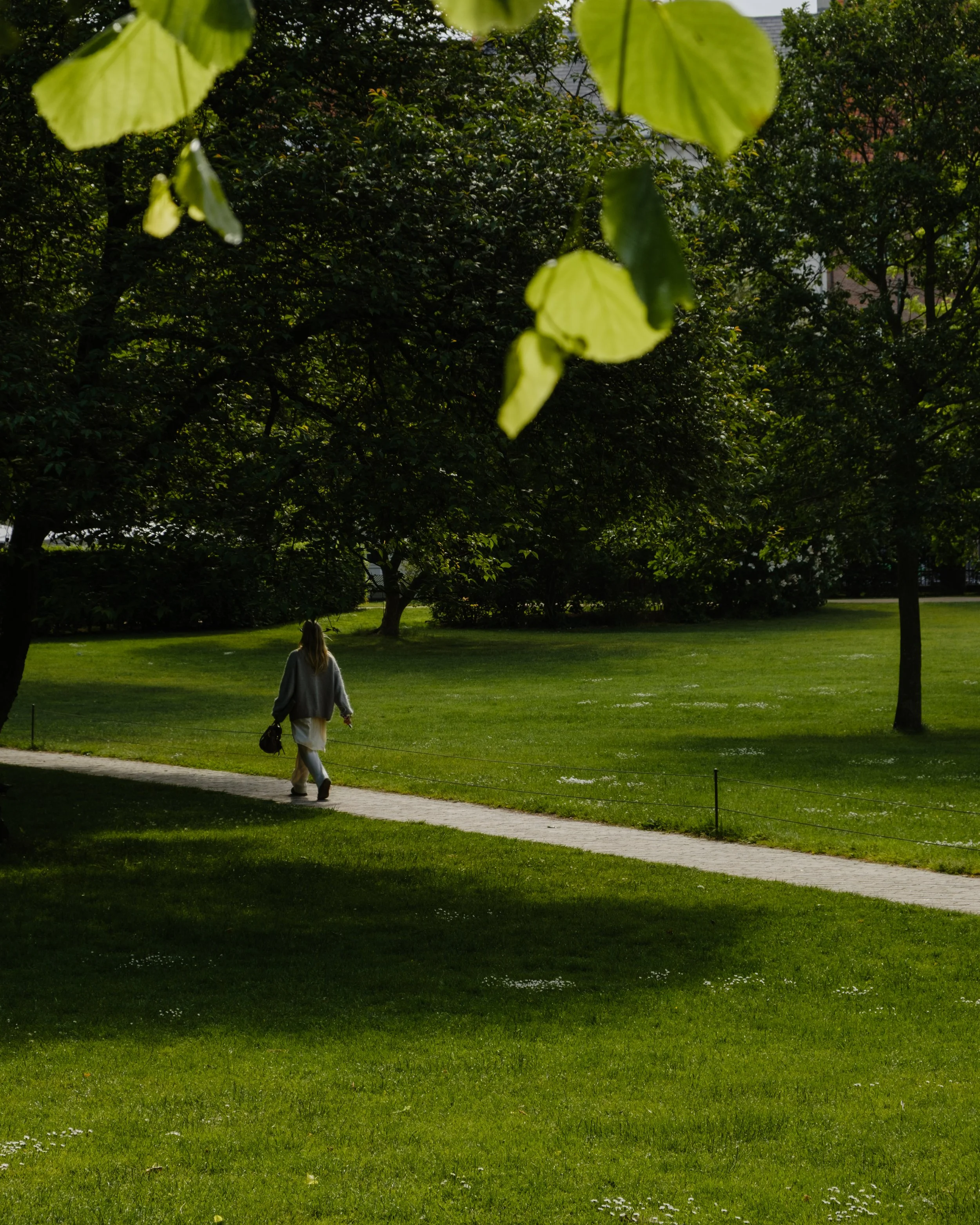 DSCF1521.jpg