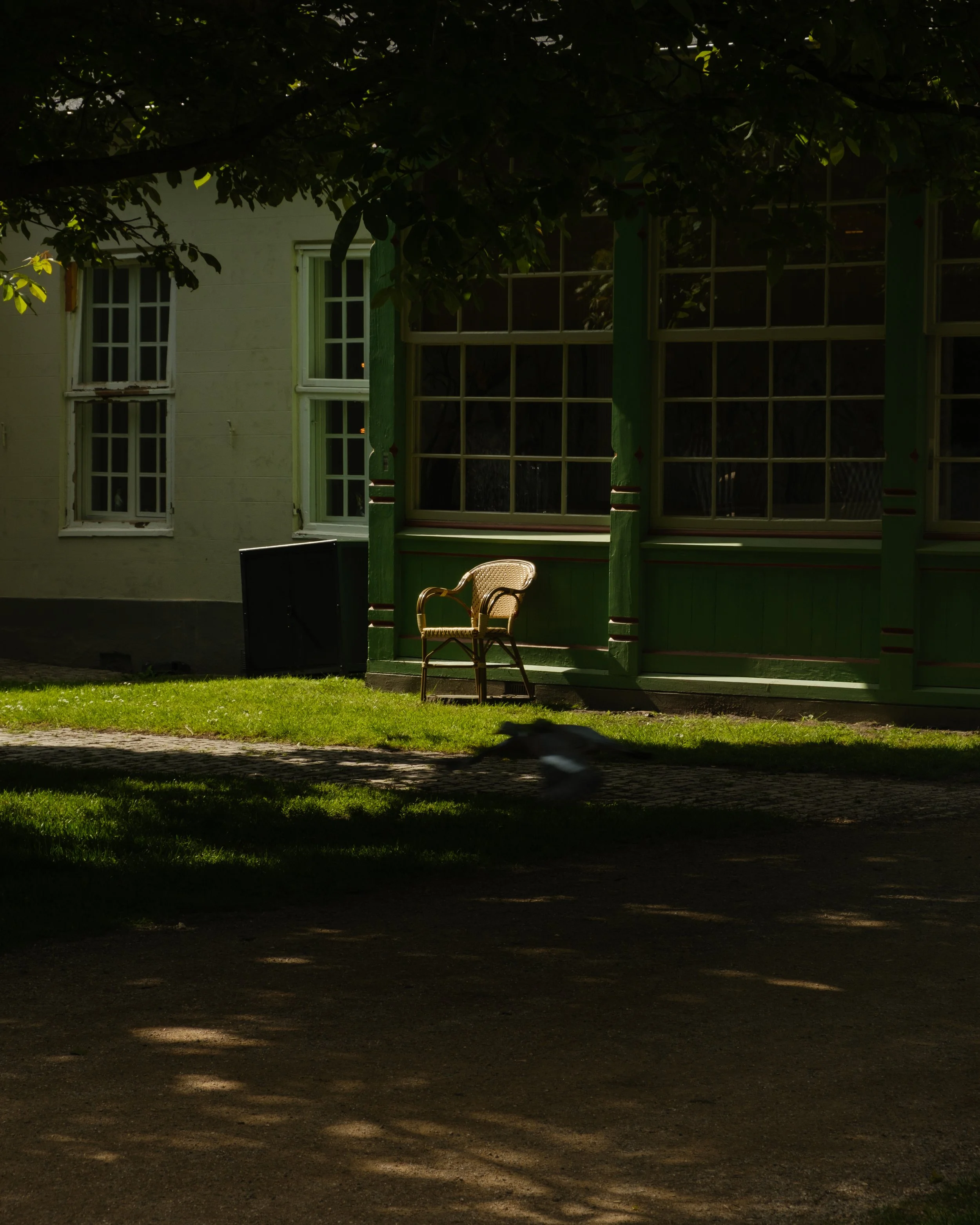DSCF1540.jpg