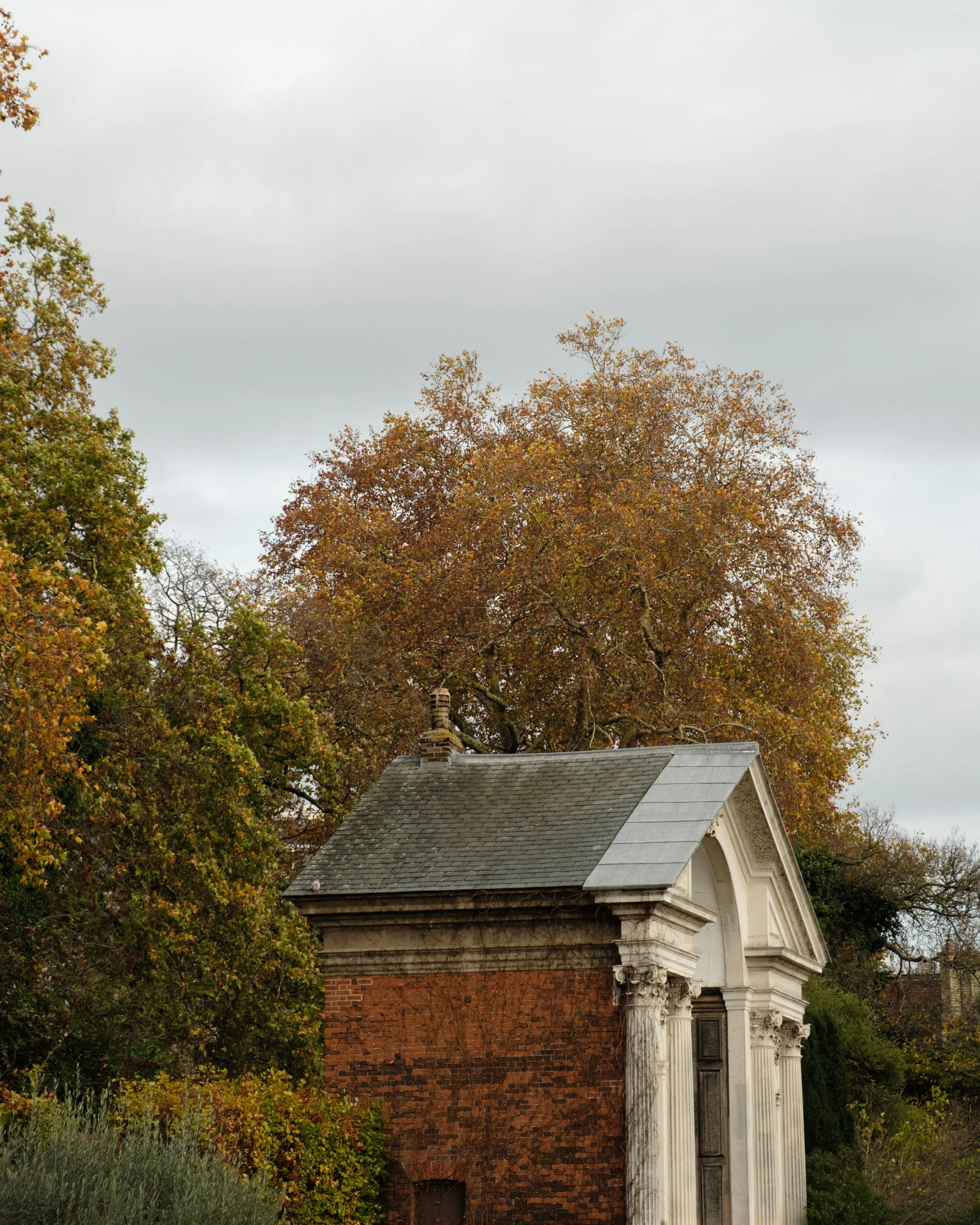DSCF8790.jpg