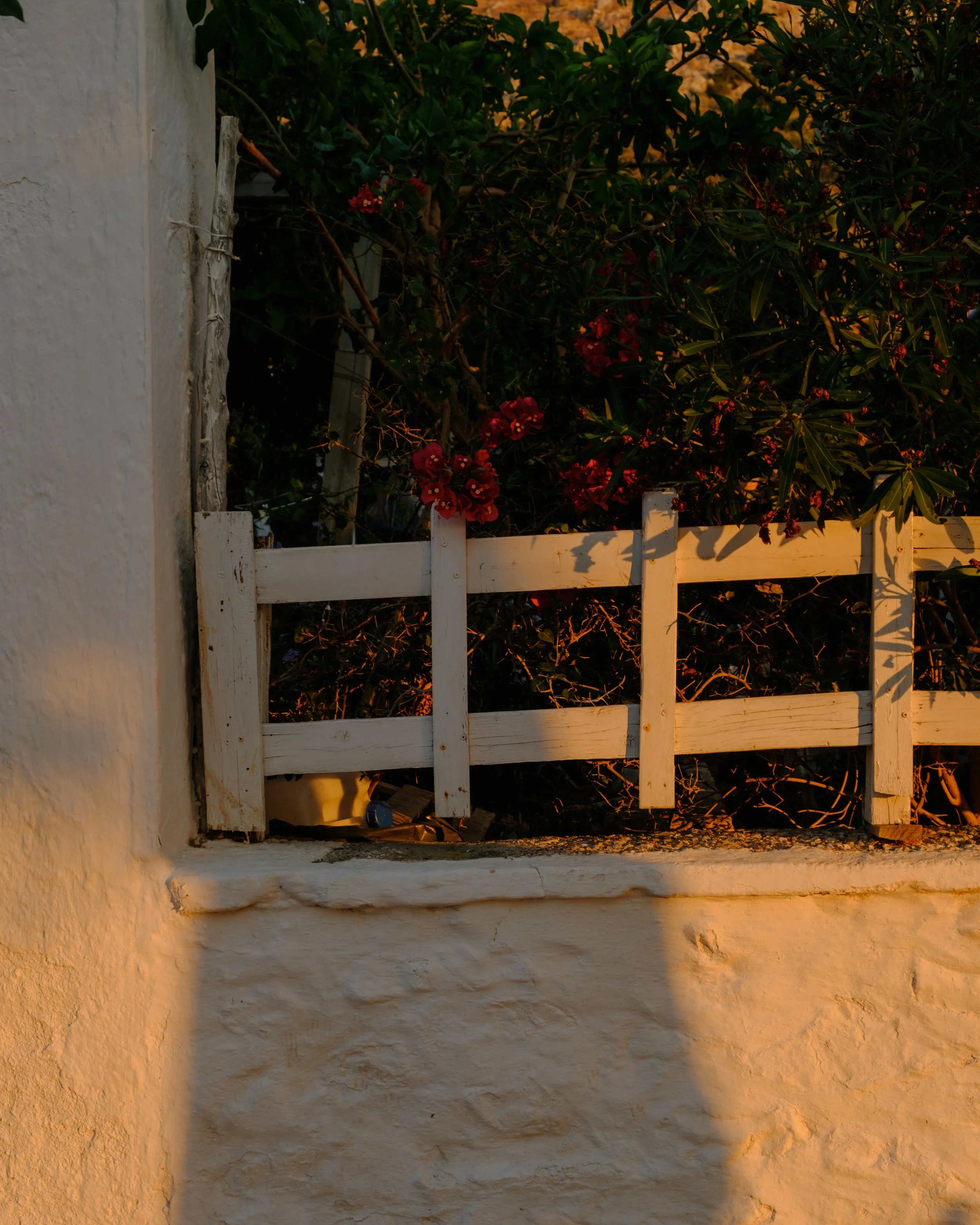 DSCF3334.jpg
