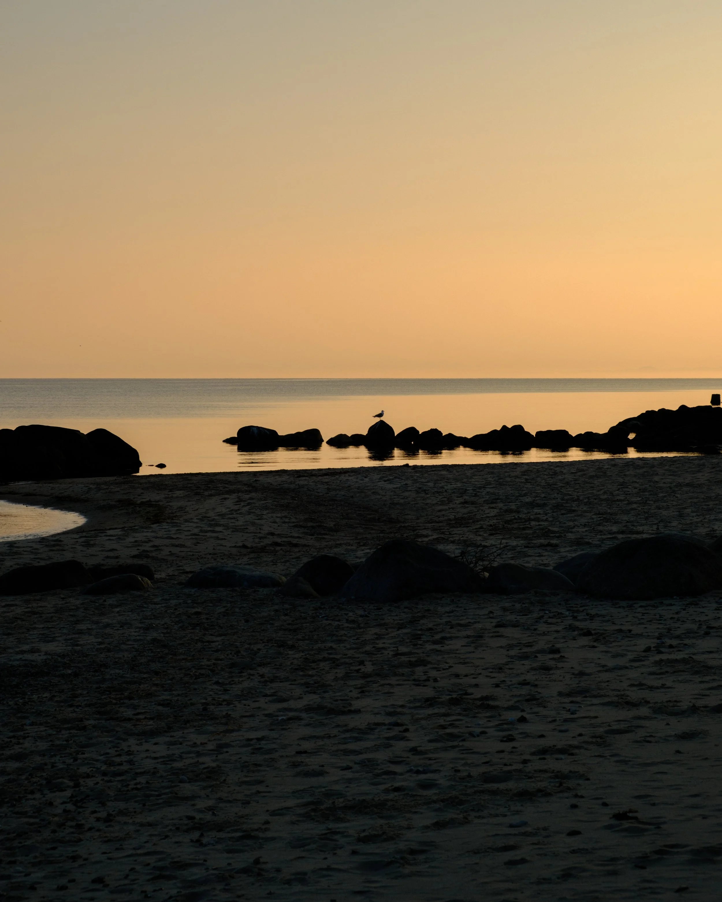 DSCF0048.jpg