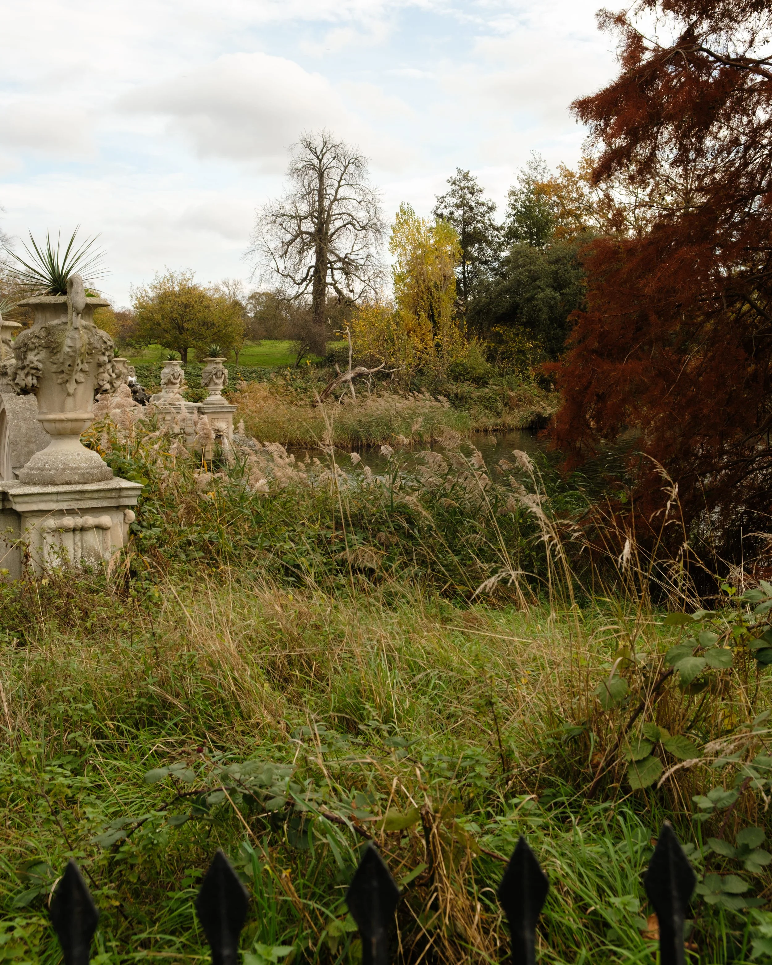 DSCF8787.jpg