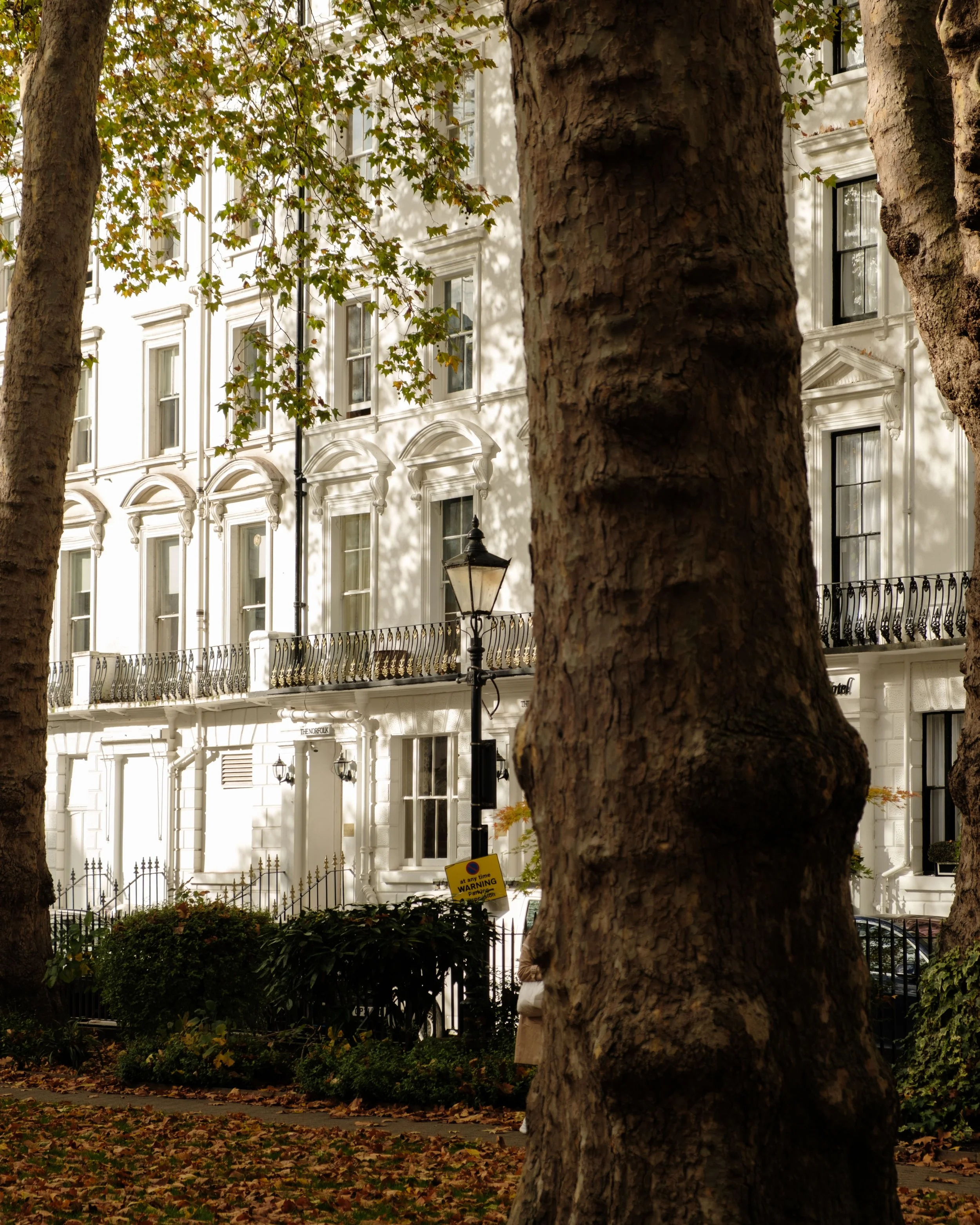 DSCF8778.jpg