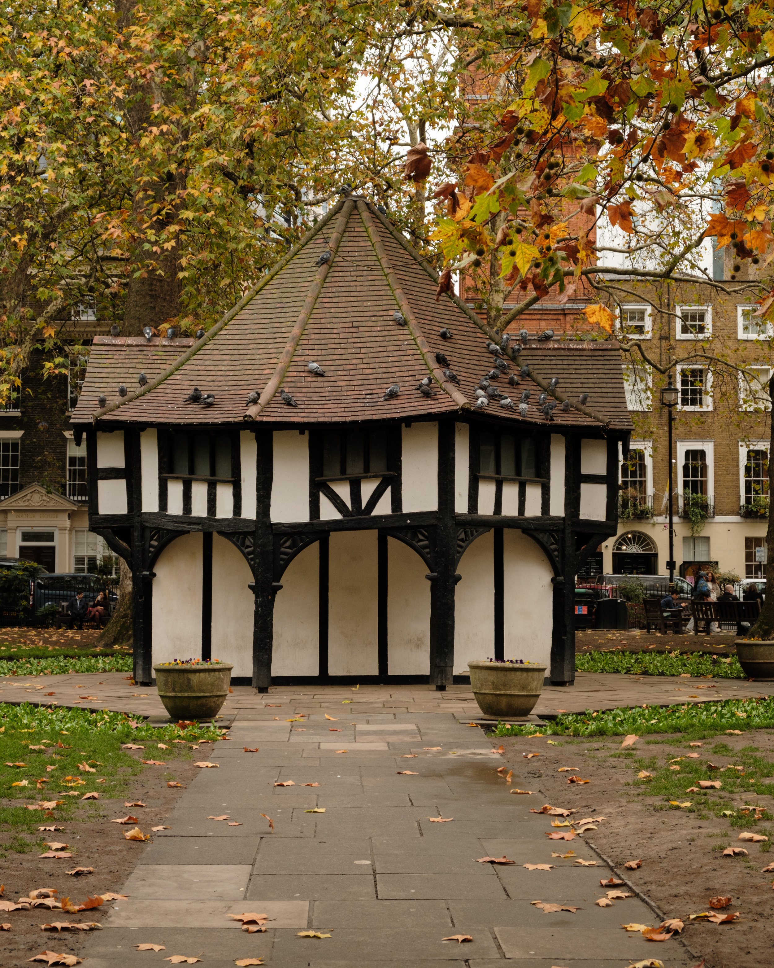 DSCF8648.jpg