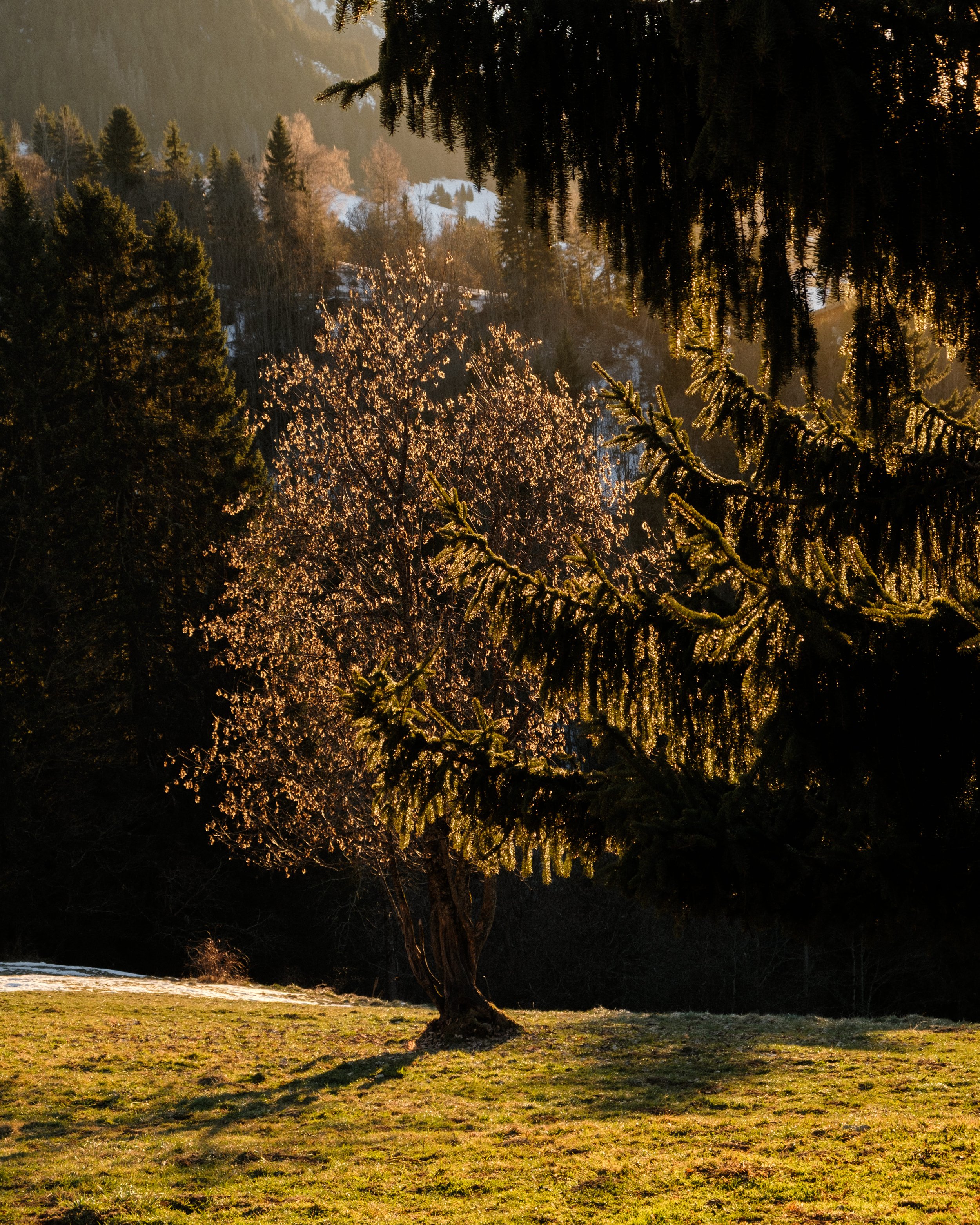 DSCF9016.jpg