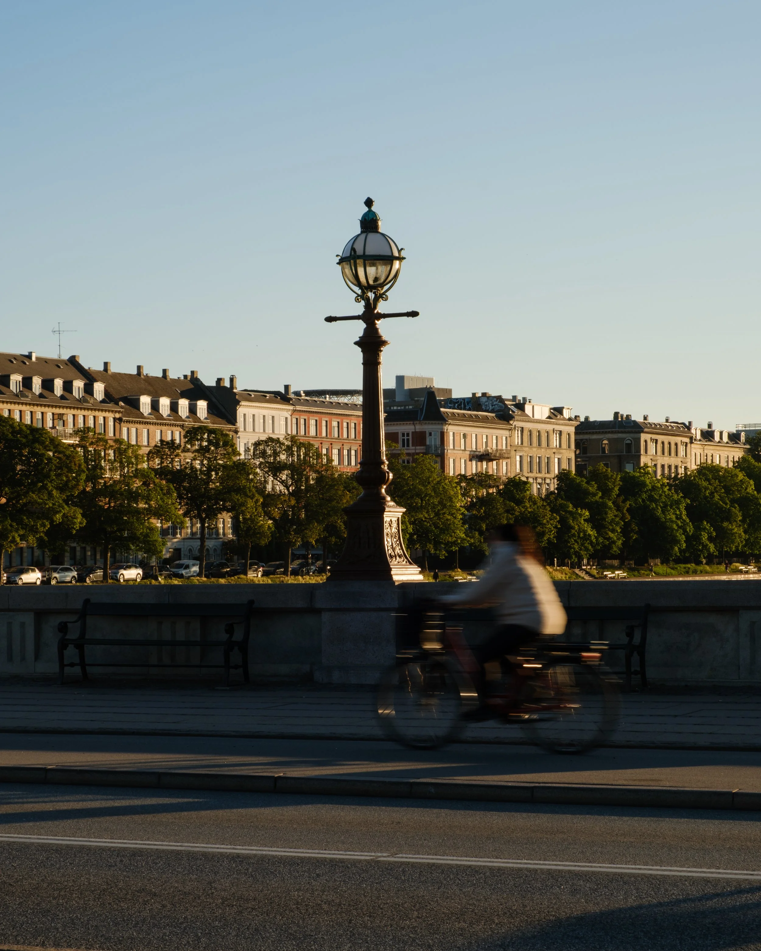 DSCF2169.jpg