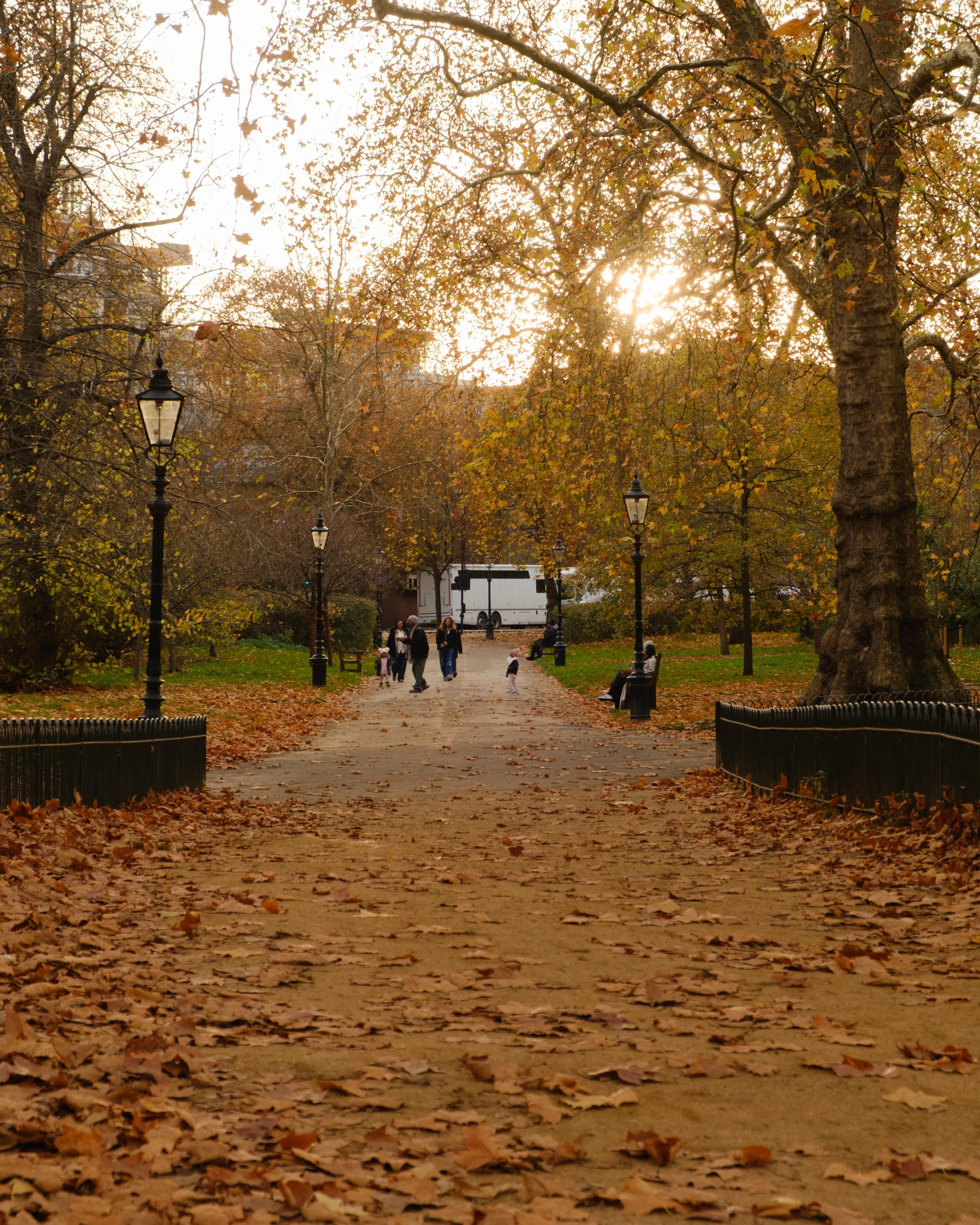 DSCF8676.jpg