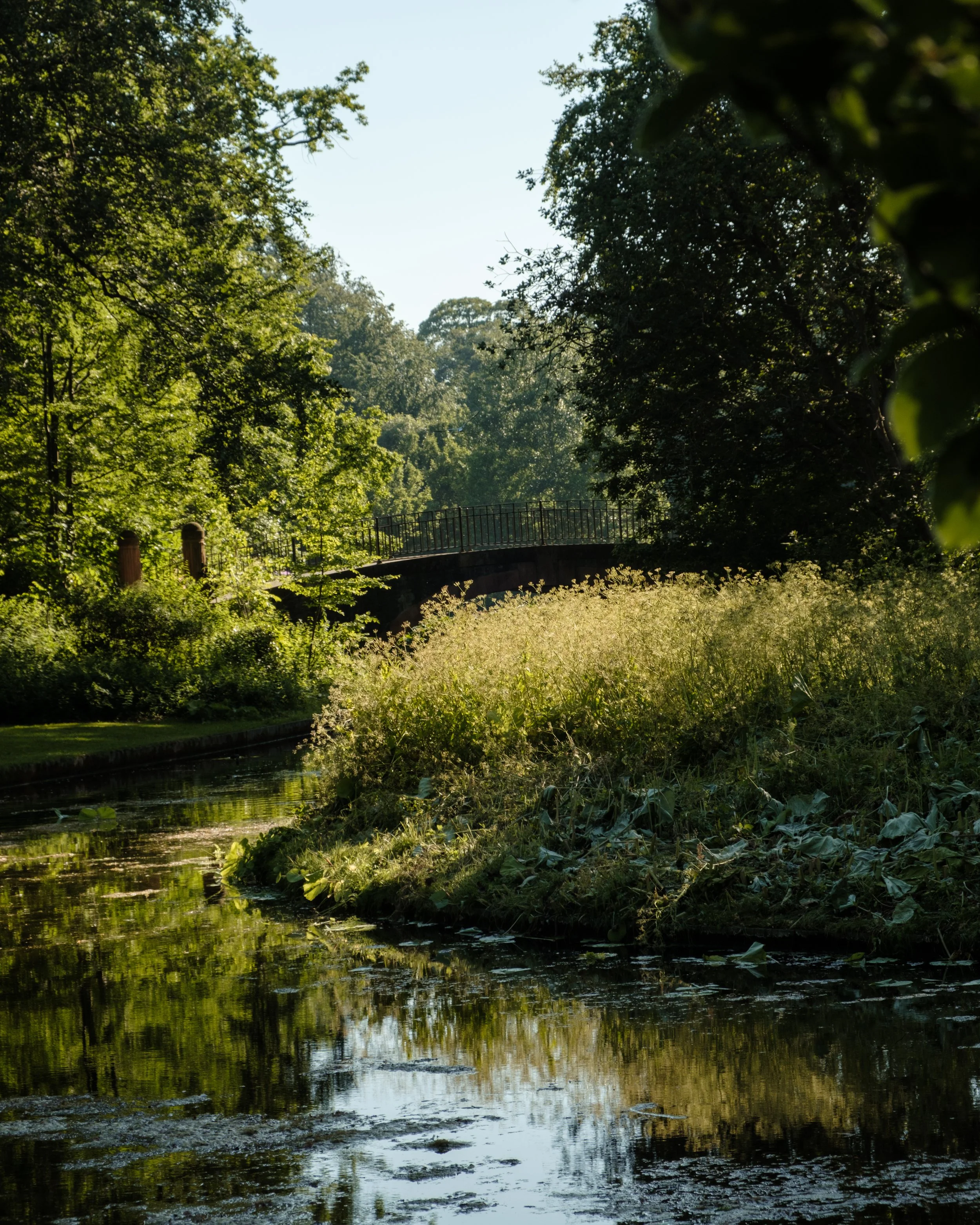 DSCF2002.jpg