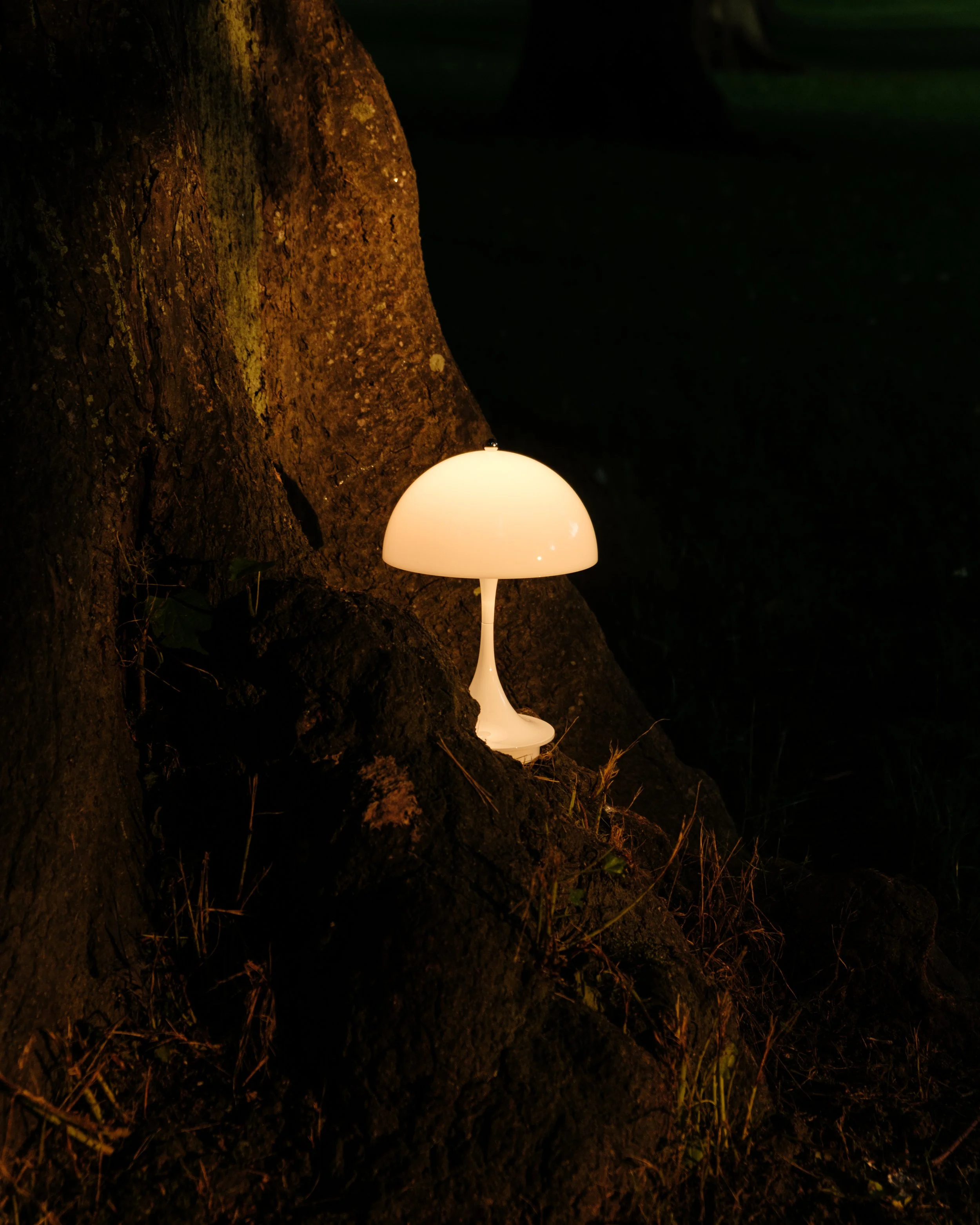 DSCF1653.jpg