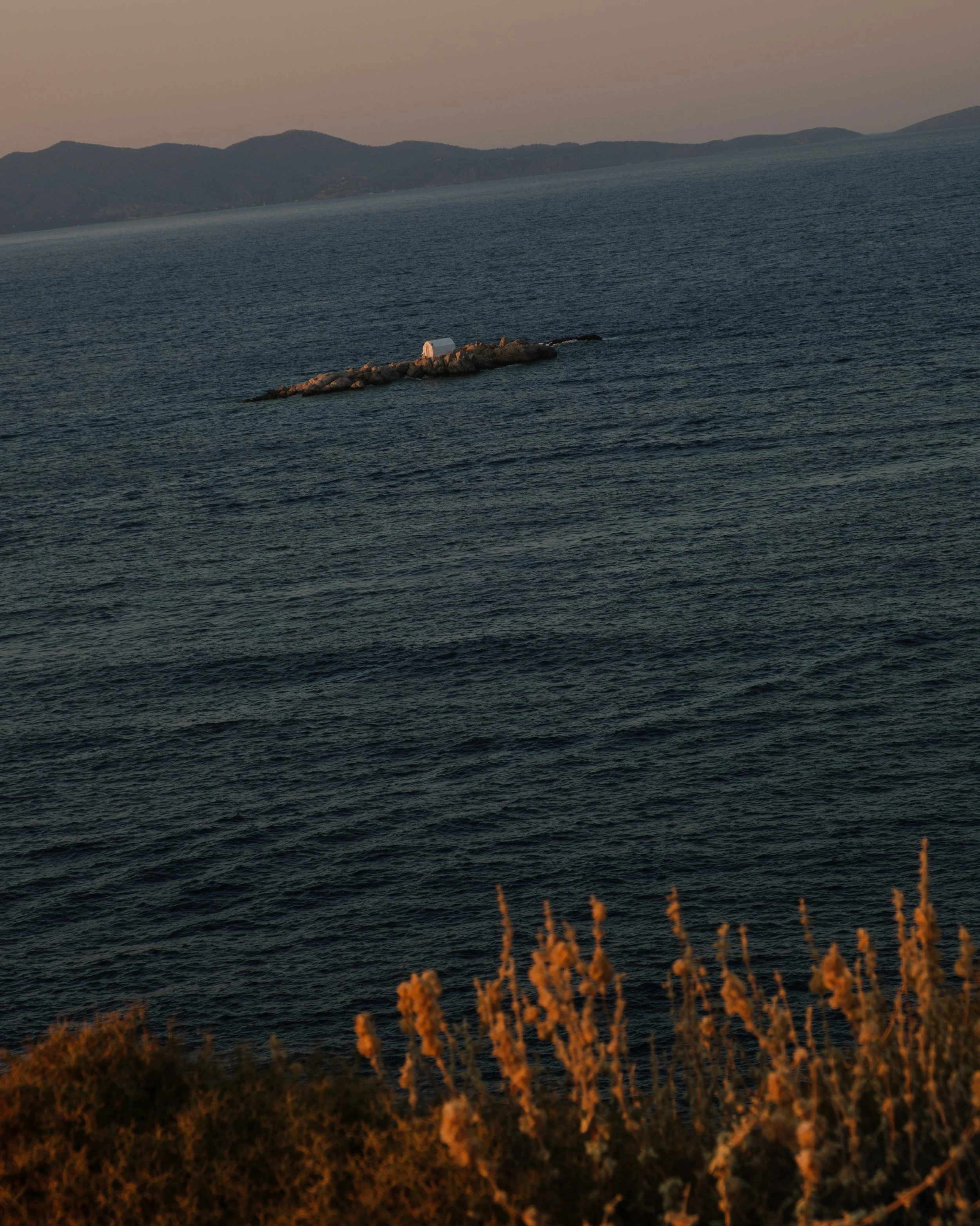 DSCF3341.jpg