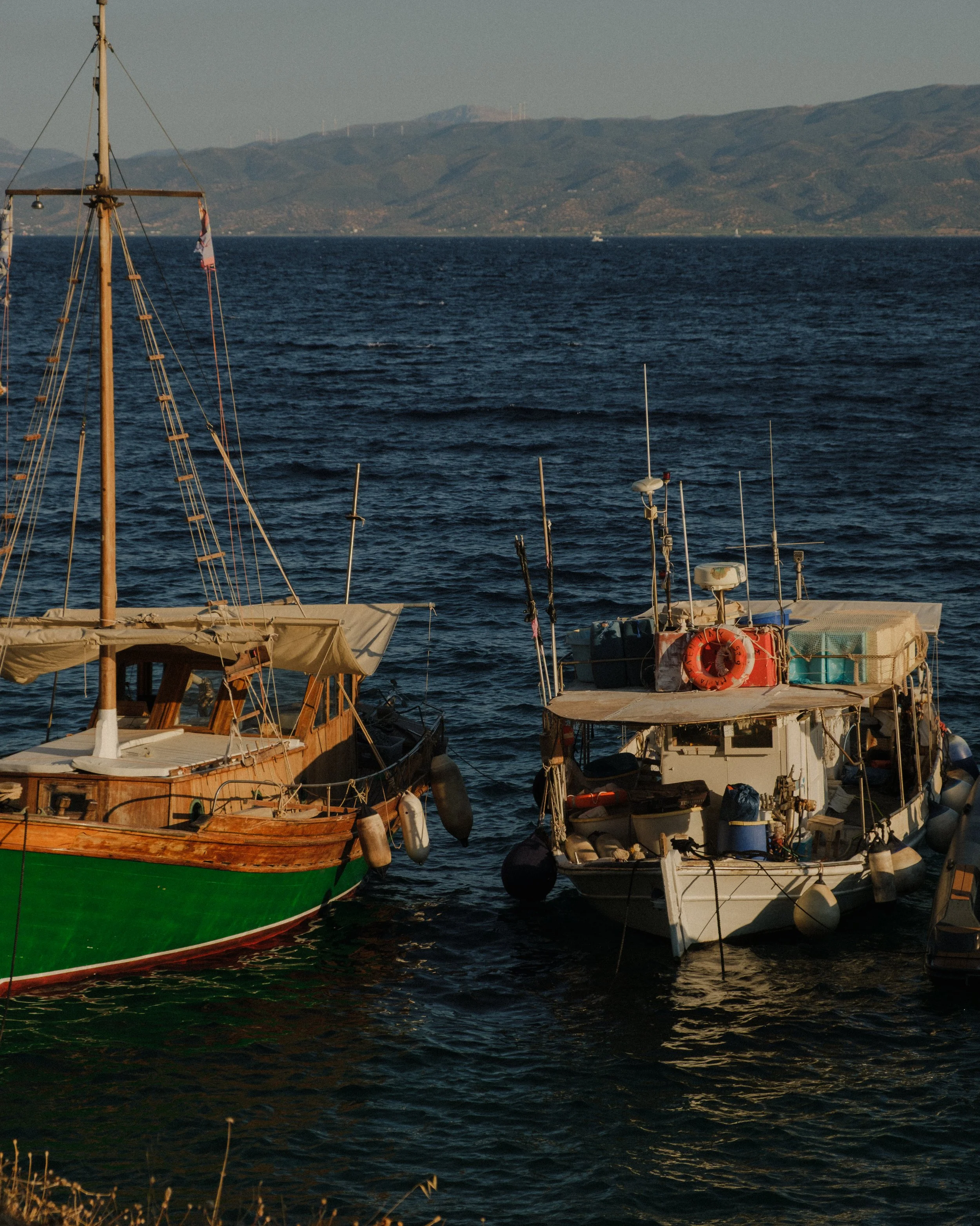 DSCF3369.jpg