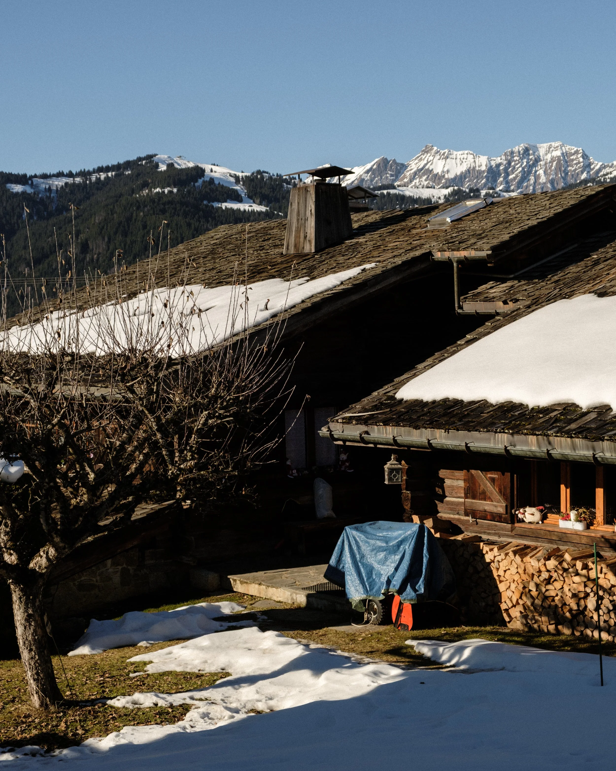 DSCF8974.jpg