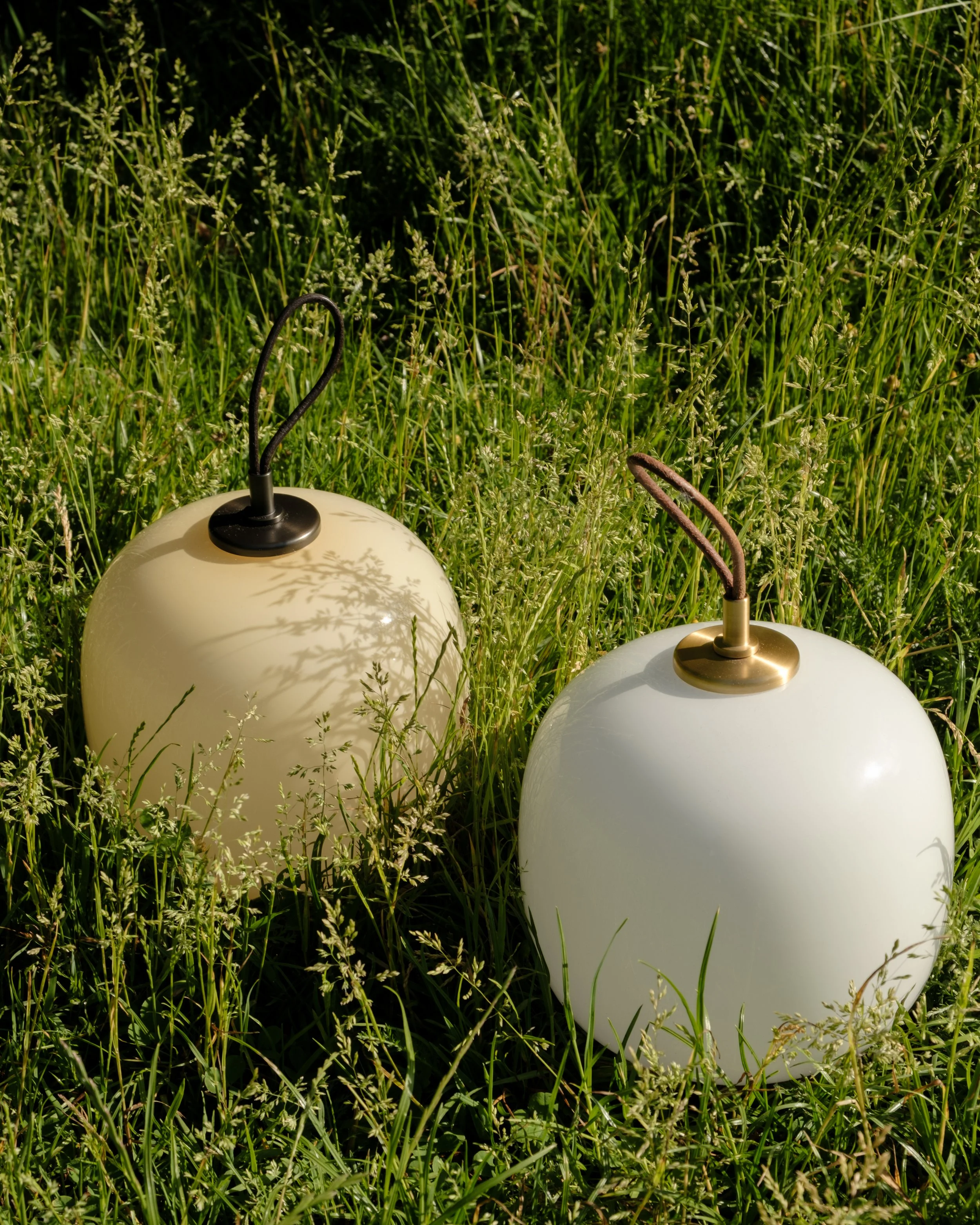 DSCF1454.jpg