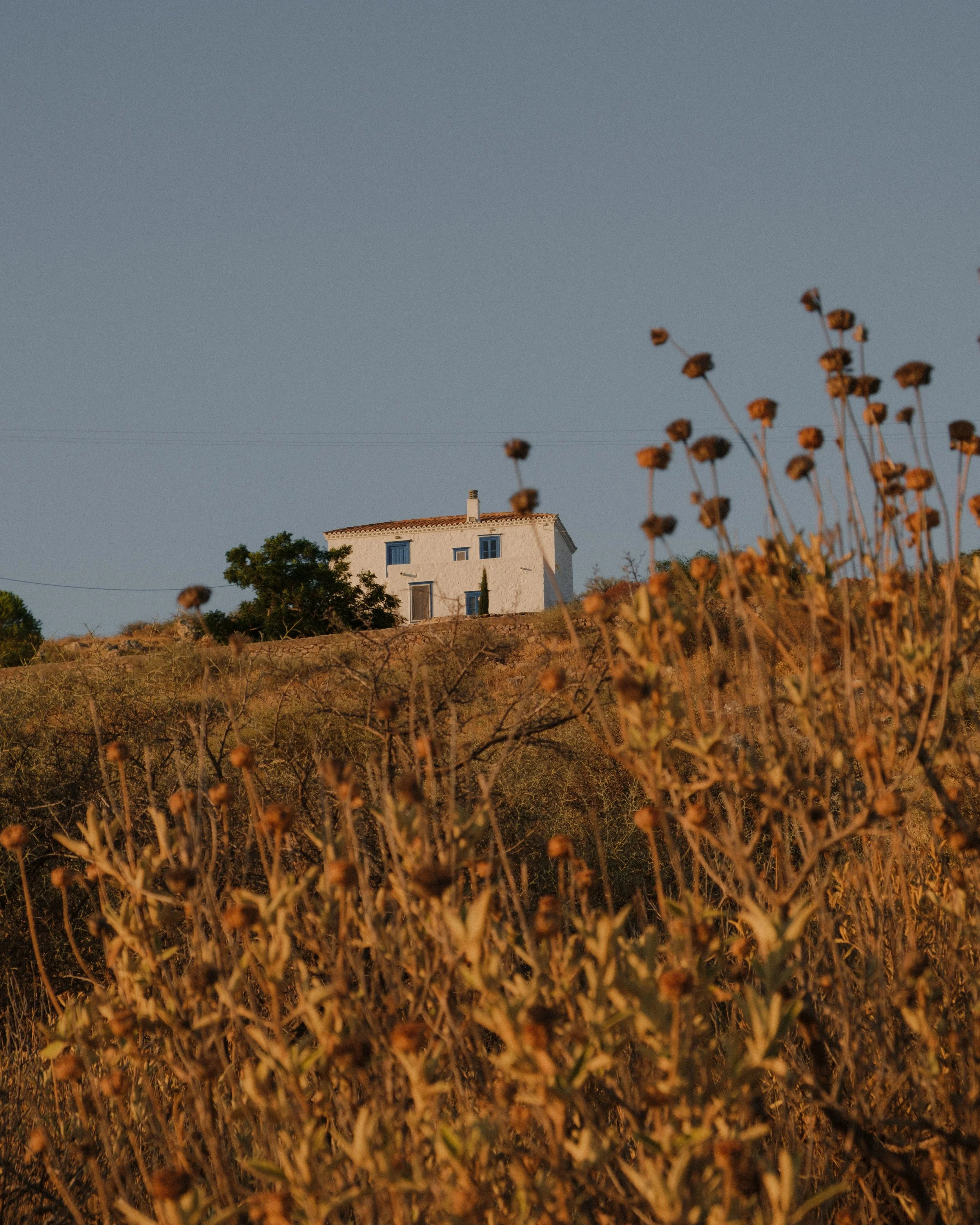 DSCF3354.jpg