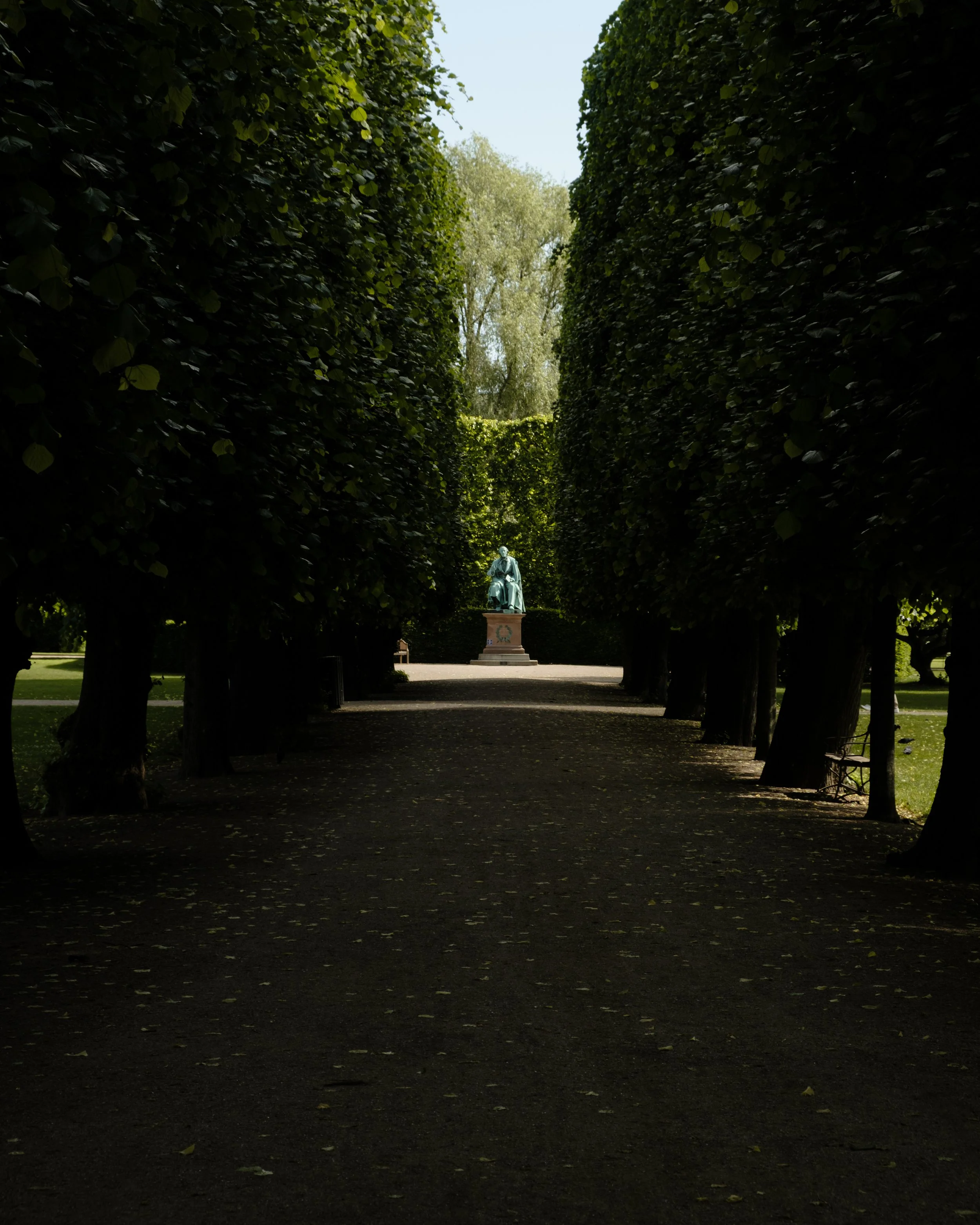 DSCF1520.jpg