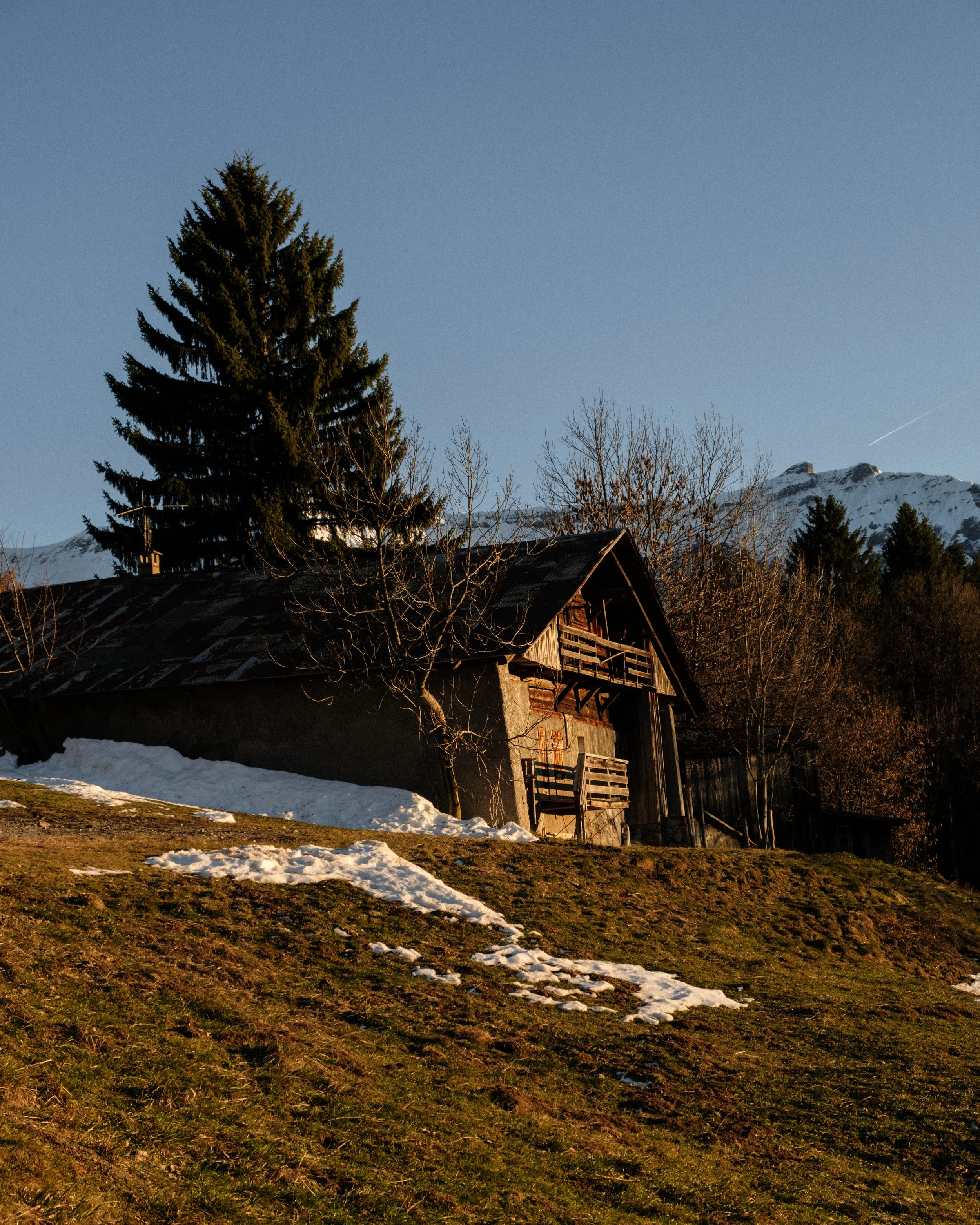 DSCF9015.jpg