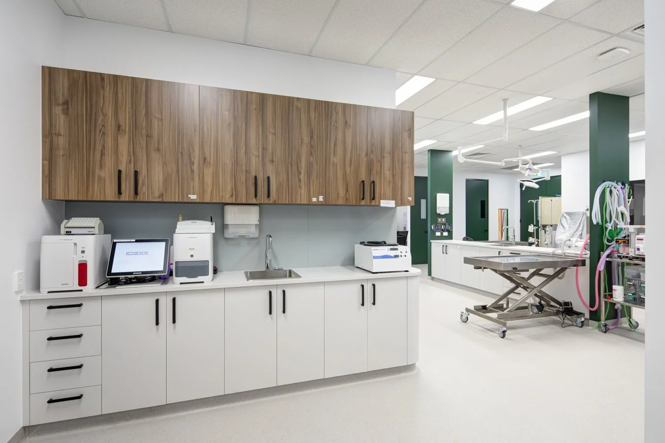 Cedar Mountain Vet Currambine Web Optimised (14 of 17).jpg