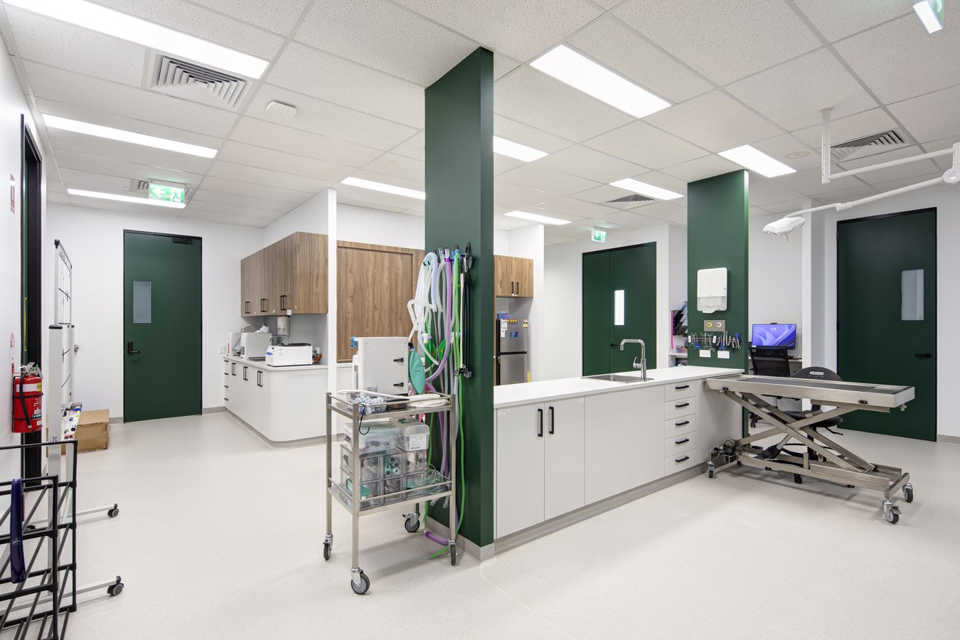 Cedar Mountain Vet Currambine Web Optimised (16 of 17).jpg