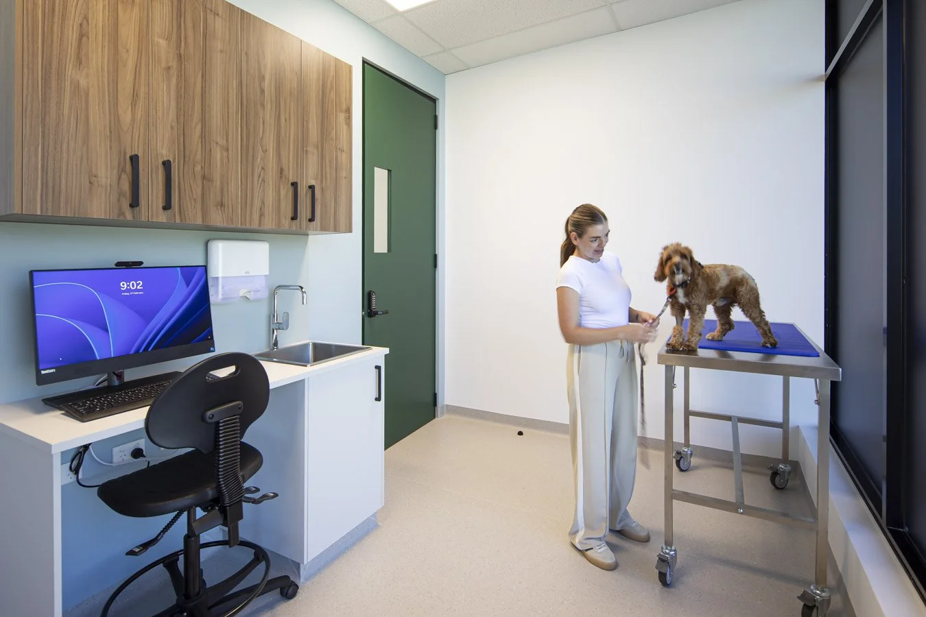 Cedar Mountain Vet Currambine Web Optimised (7 of 17).jpg