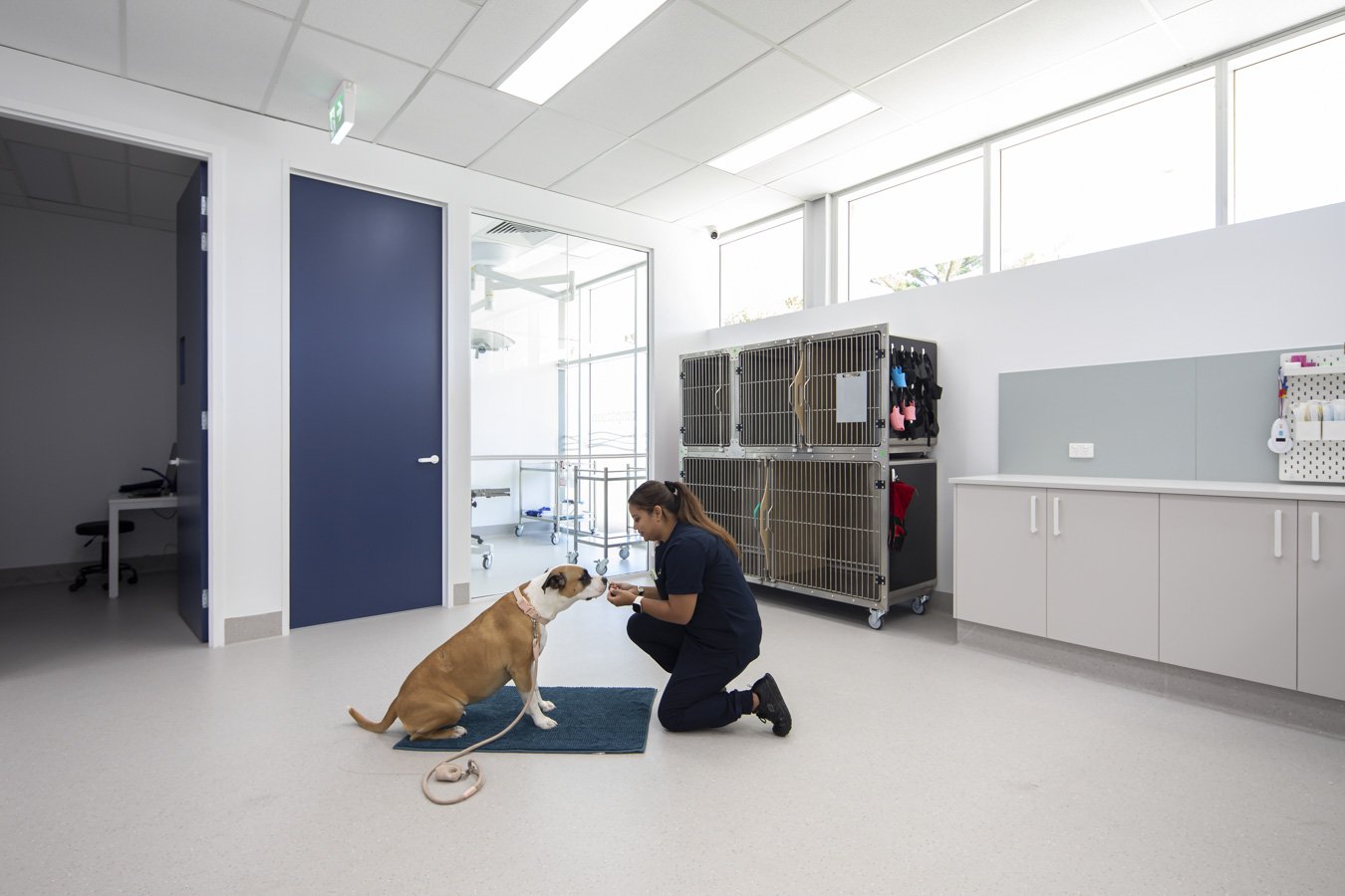 The Village Vet Beeliar Web Optimised (12 of 15).jpg