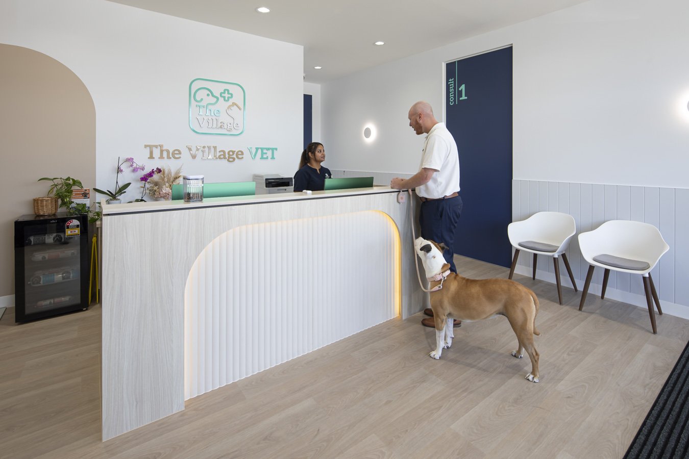 The Village Vet Beeliar Web Optimised (9 of 15).jpg