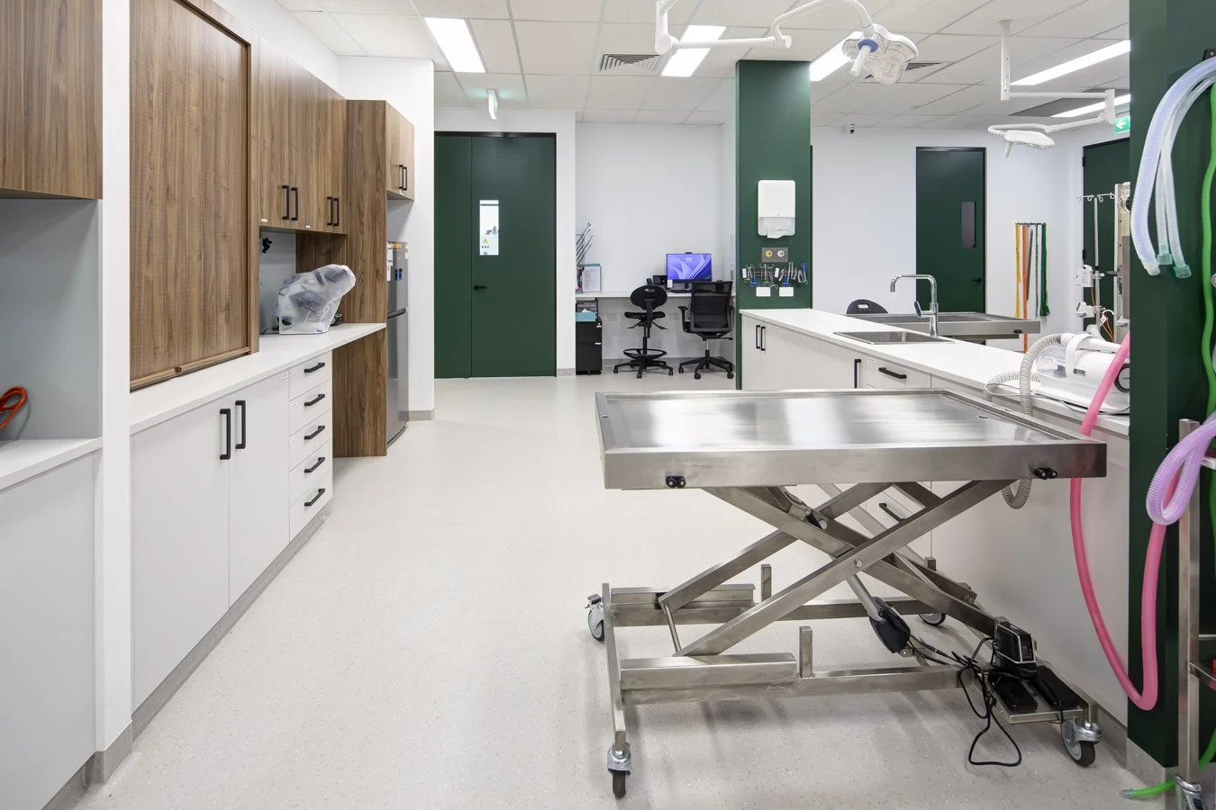 Cedar Mountain Vet Currambine Web Optimised (15 of 17).jpg