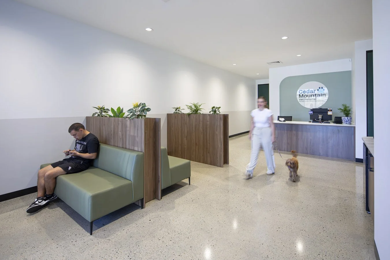 Cedar Mountain Vet Currambine Web Optimised (5 of 17).jpg