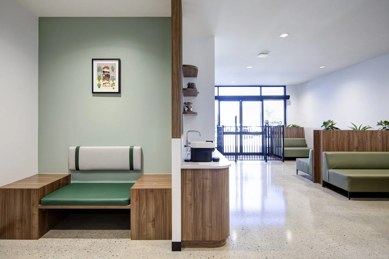 Cedar Mountain Vet Currambine Web Optimised (13 of 17).jpg