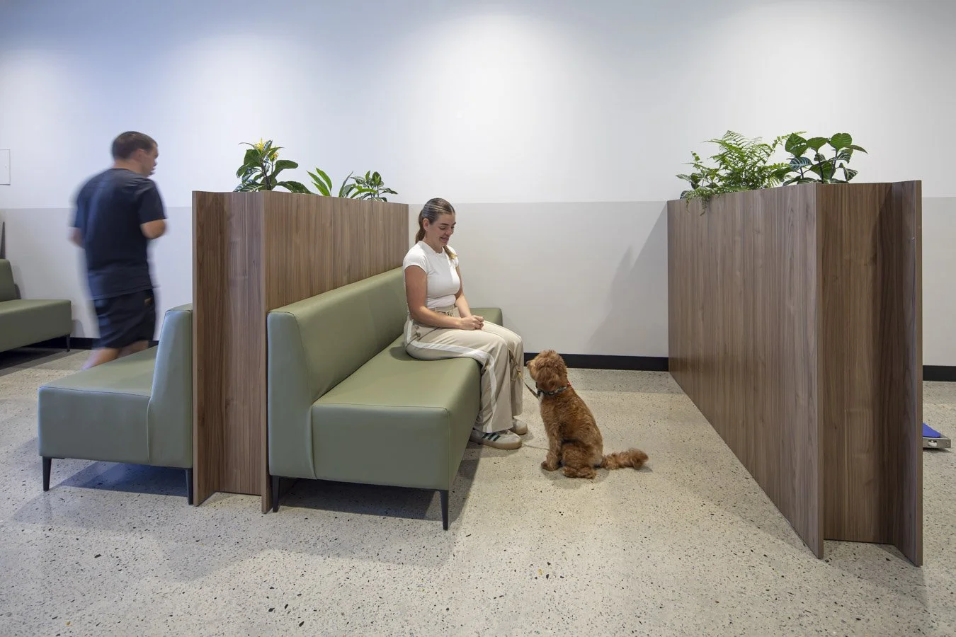 Cedar Mountain Vet Currambine Web Optimised (3 of 17).jpg