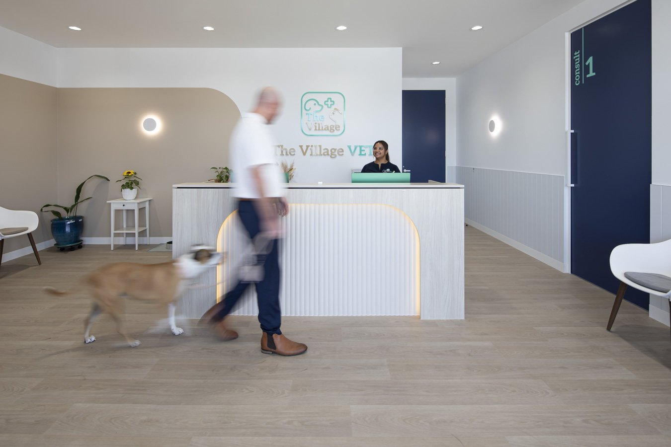 The Village Vet interiors photography Perth by Projectifi