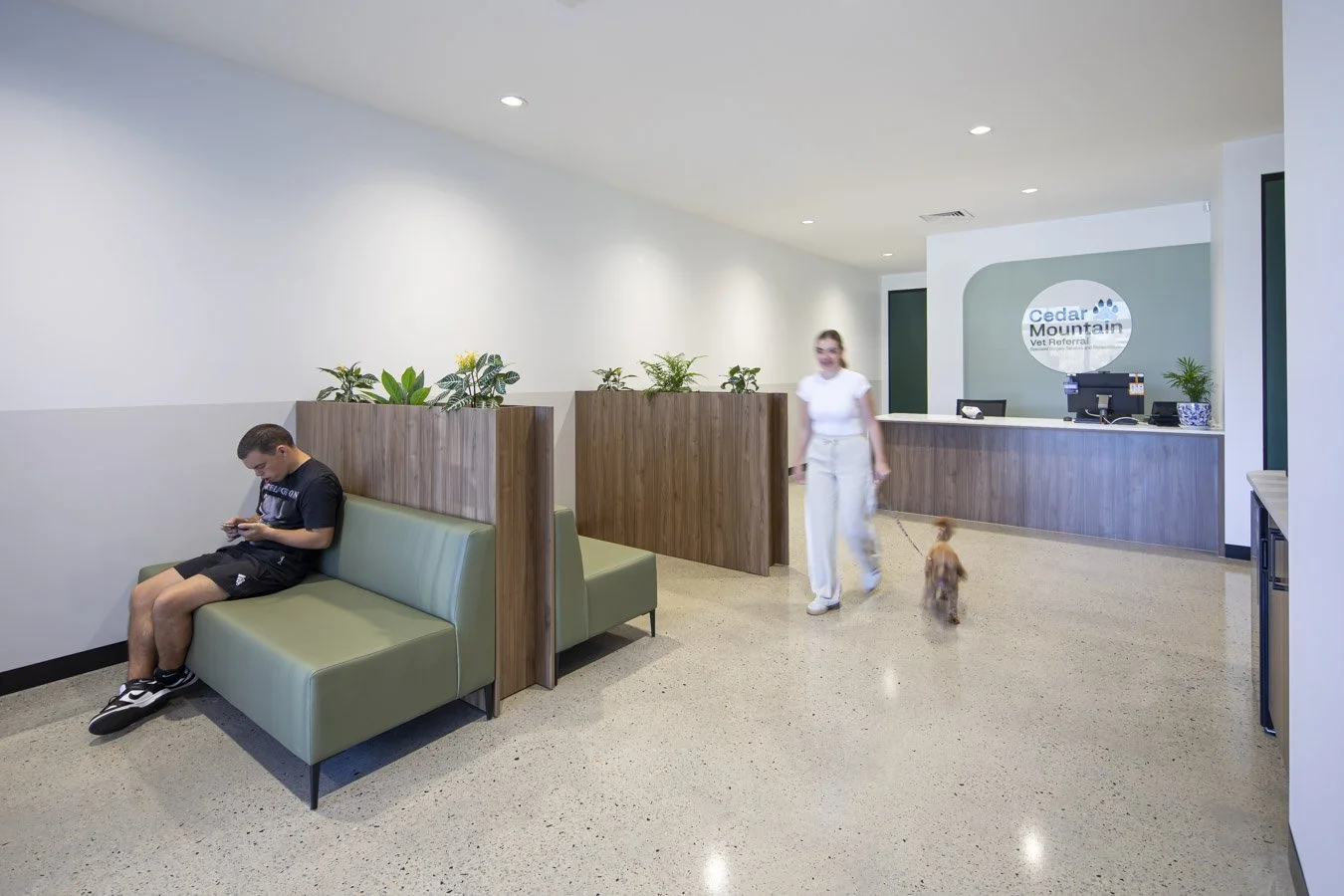 Cedar Mountain Vet Currambine Web Optimised (6 of 17).jpg