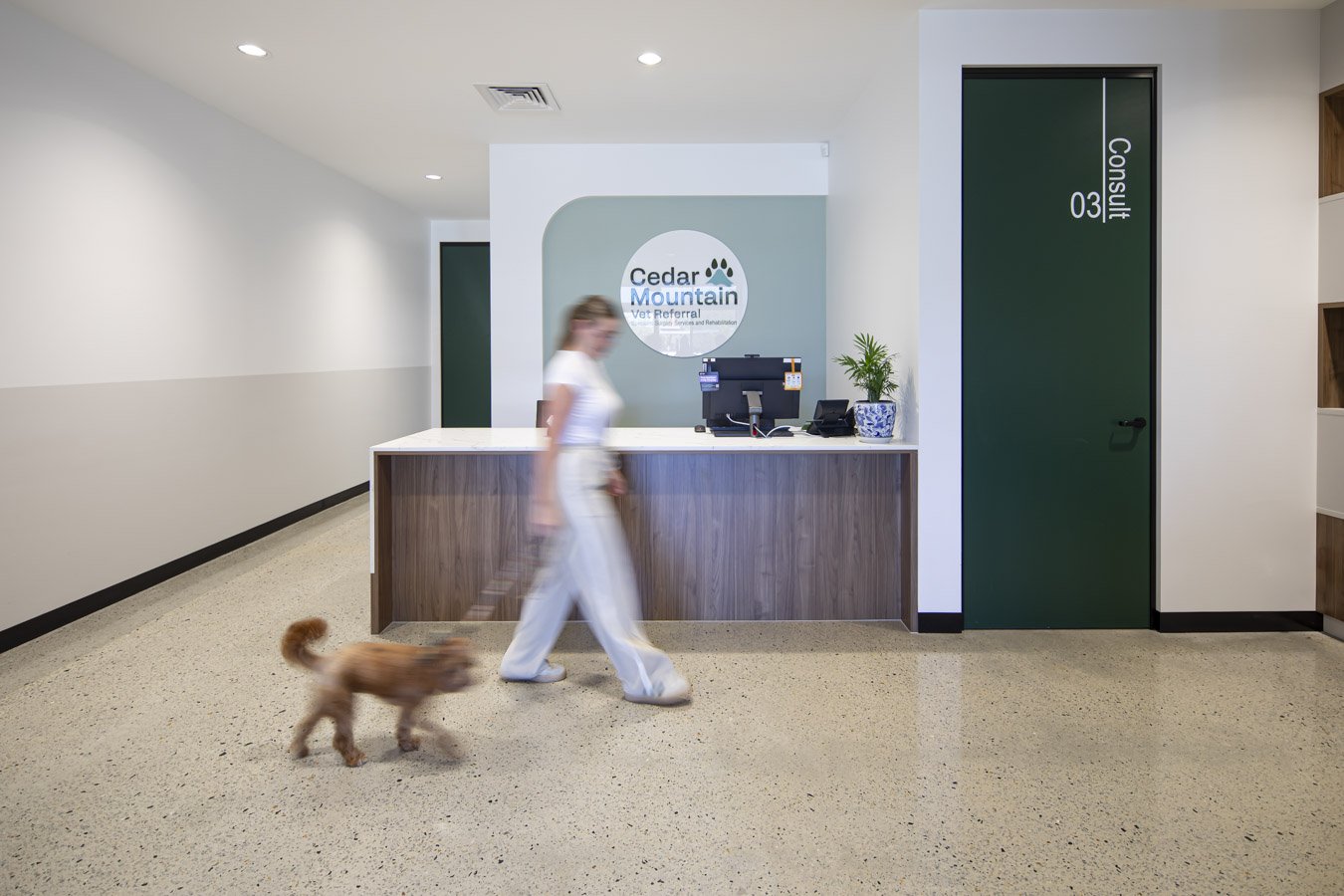 Cedar Mountain Vet interiors photography Perth by Projectifi